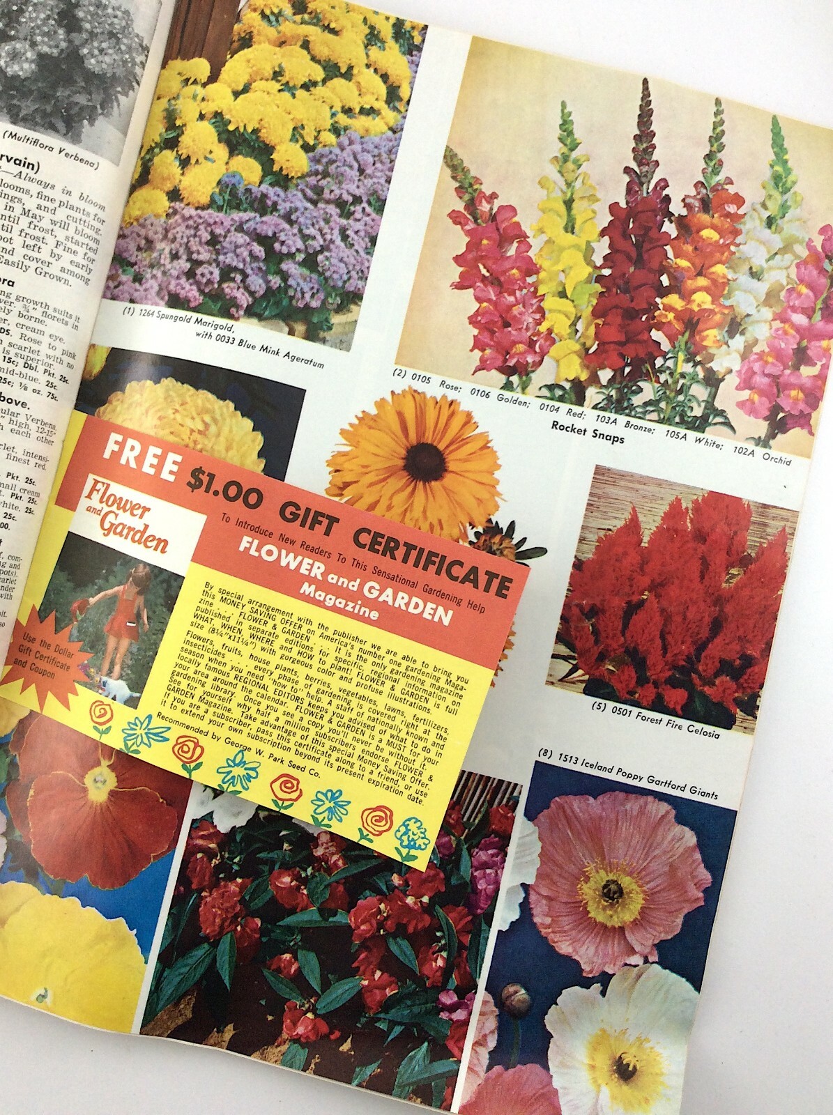 Parks Flower Book 1962 Greenwood South Carolina Garden Seed Catalog Q297