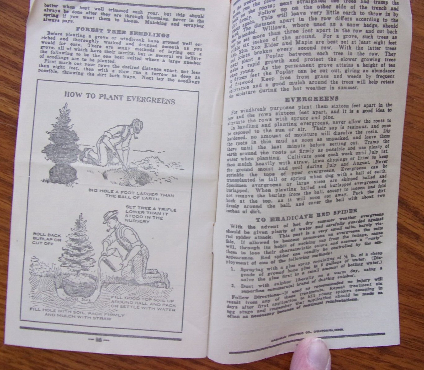 VINTAGE OWATONNA MINNESOTA CASHMAN NURSERIES PLANTING & CARE BROCHURE 1940&rsquo;S?