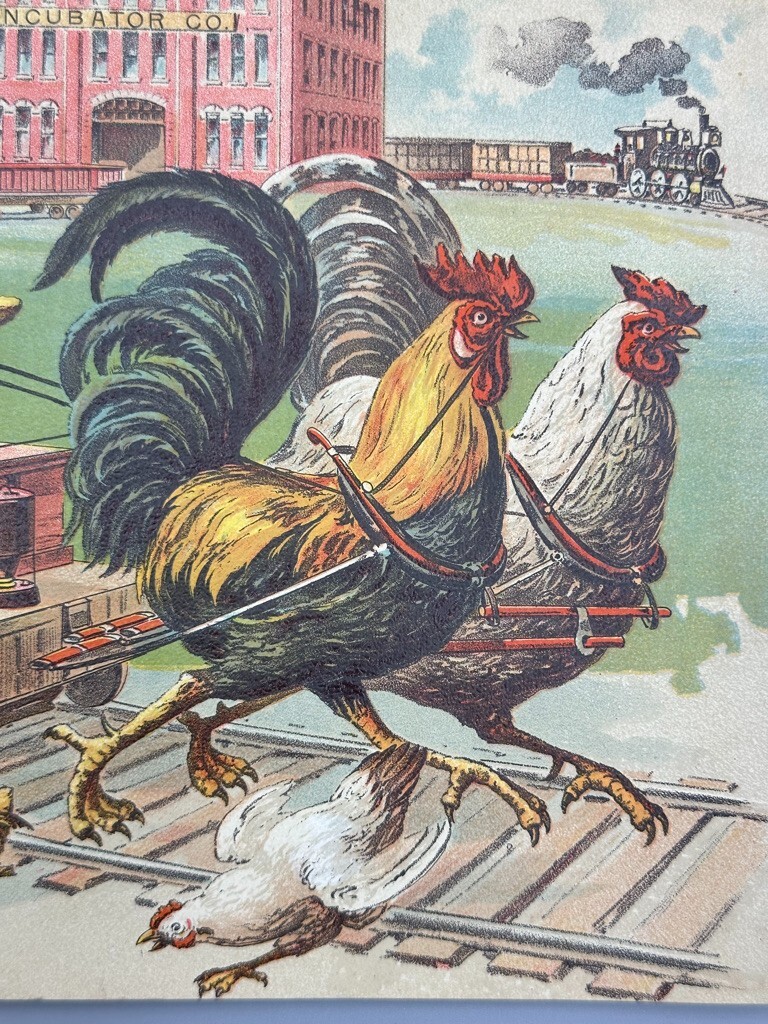 Rare 1893 BUCKEYE INCUBATOR CO Chicken CHICKS Farm Advertise BOOK Springfield OH