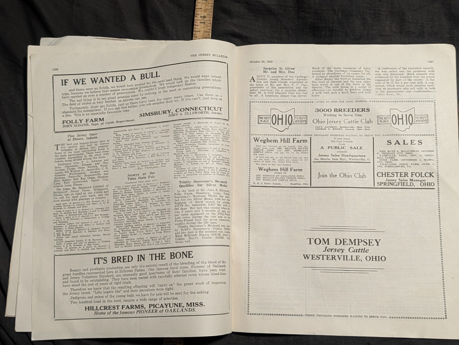 1933 The Jersey Bulletin, Agriculture dairy cattle farmer magazine