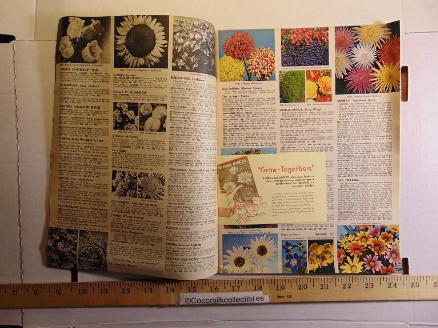 Vintage 1969 Geo W Park Seed Co Flower Book Greenwood South Carolina