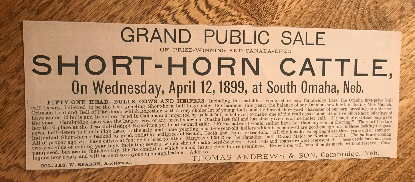 1899 Shorthorn Cattle Public Sale – South Omaha – Nebraska – Cow Advertising