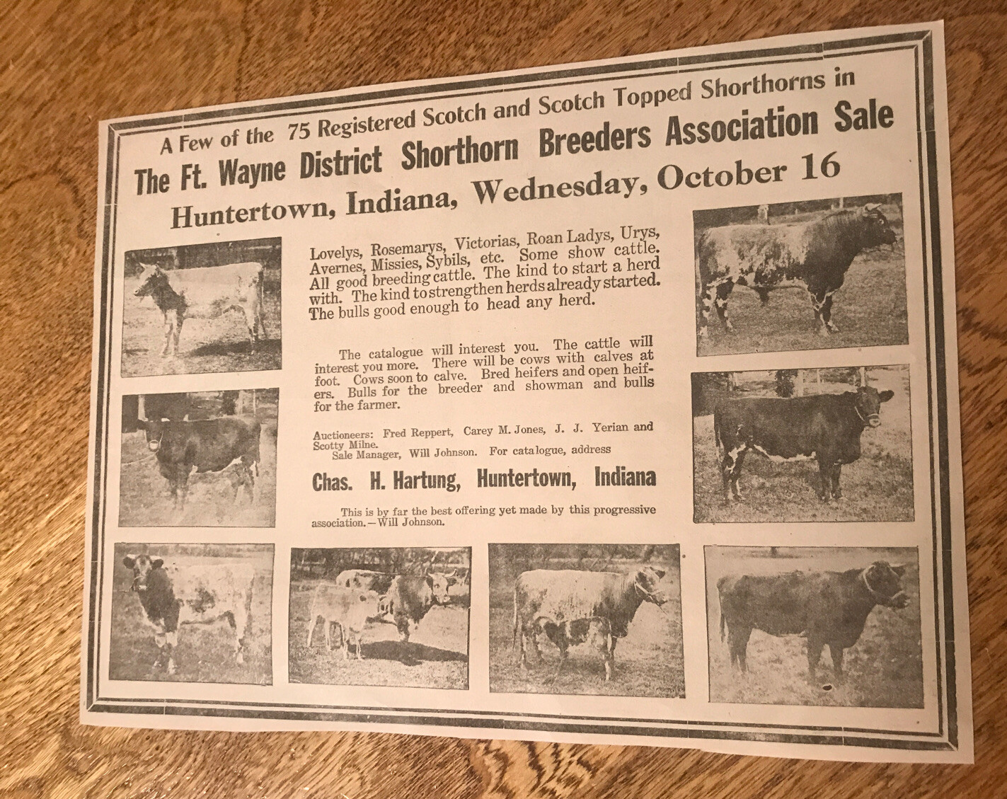 1918 Cattle Livestock Public Sale – Huntertown – Indiana – Cow Advertising
