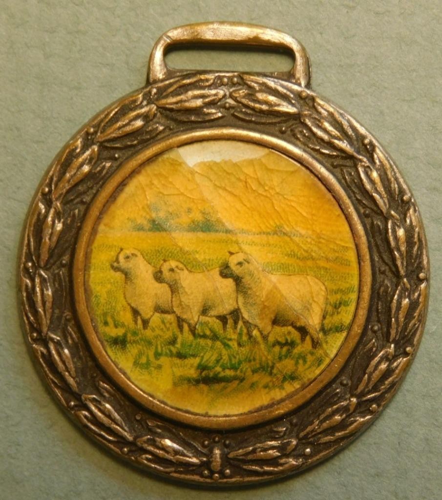 Knollin Sheep Commission Celluloid Watch Fob Kansas City Chicago Sh.1A-2-7-#99