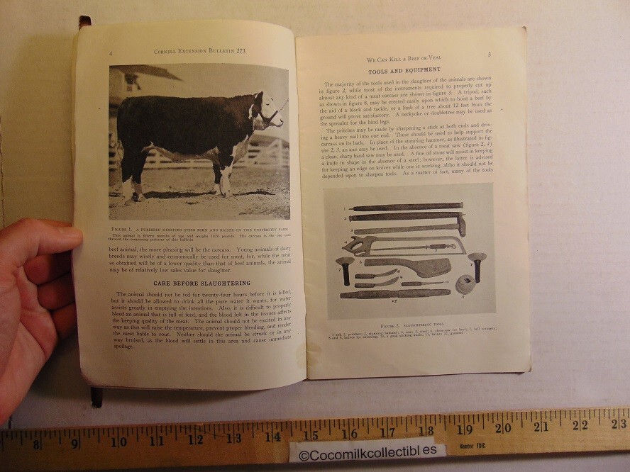 Vintage April 1935 We Can Kill A Beef or Veal Cornell Extension Bulletin