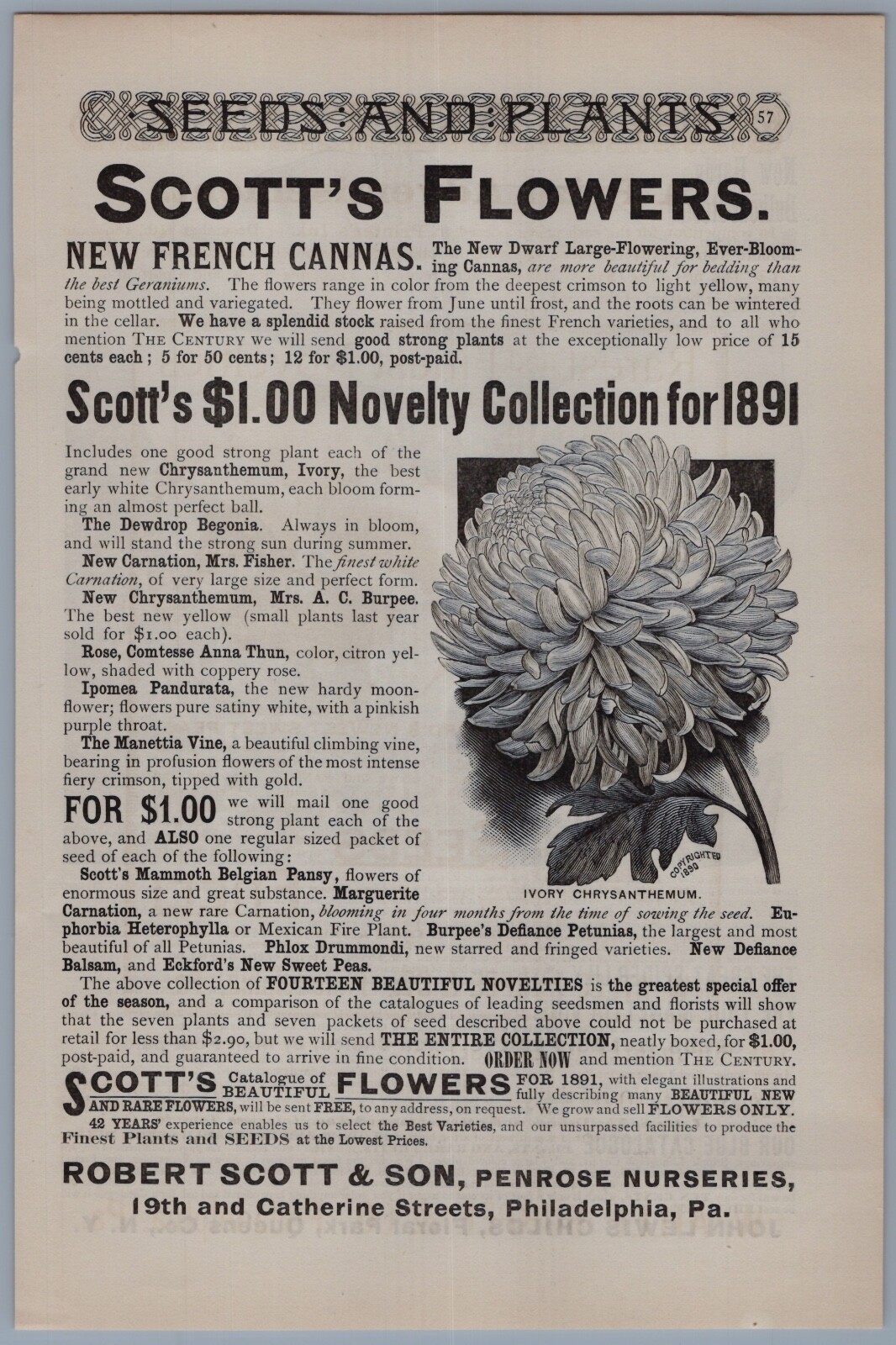 1891 John Lewis Child Vintage Ad Floral Park Queens NY Moonflower Nursery Plants