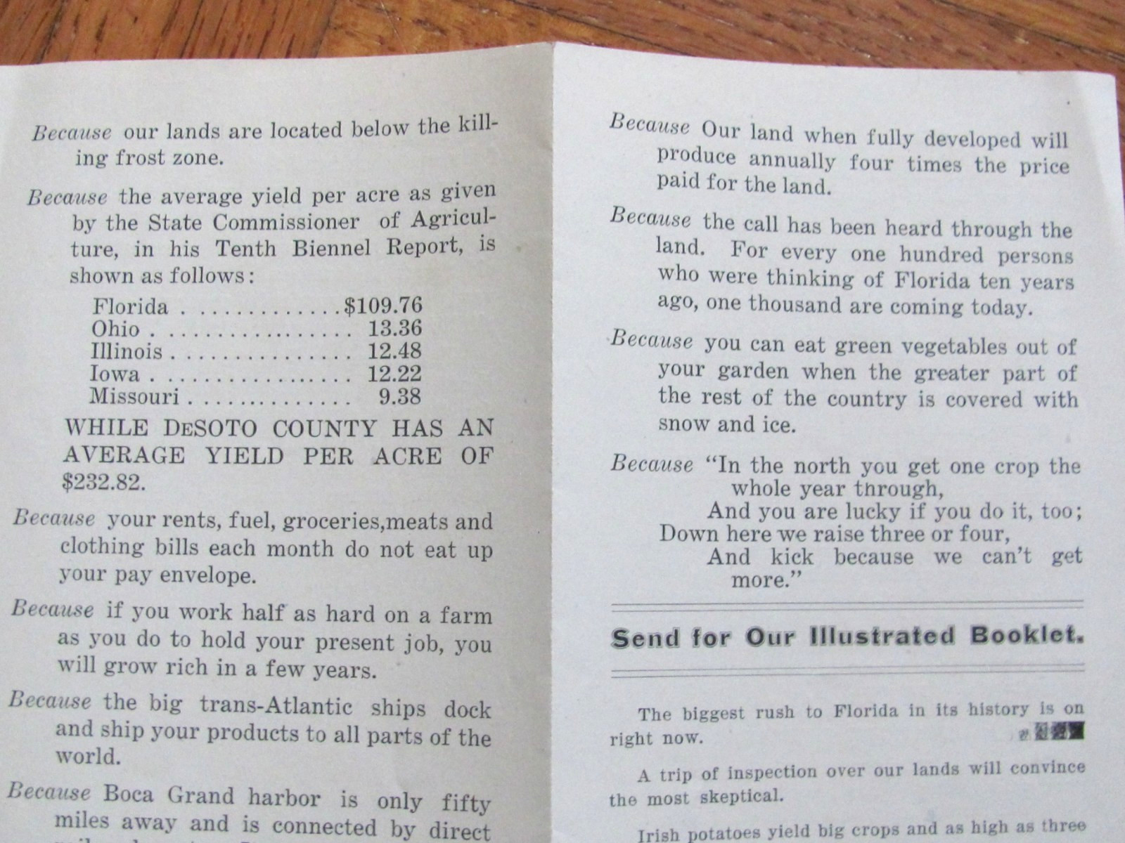 1920&rsquo;s BROCHURE DE SOTO COUNTY FLORIDA CITRUS & FARM LAND NEW HOME REALTY CO