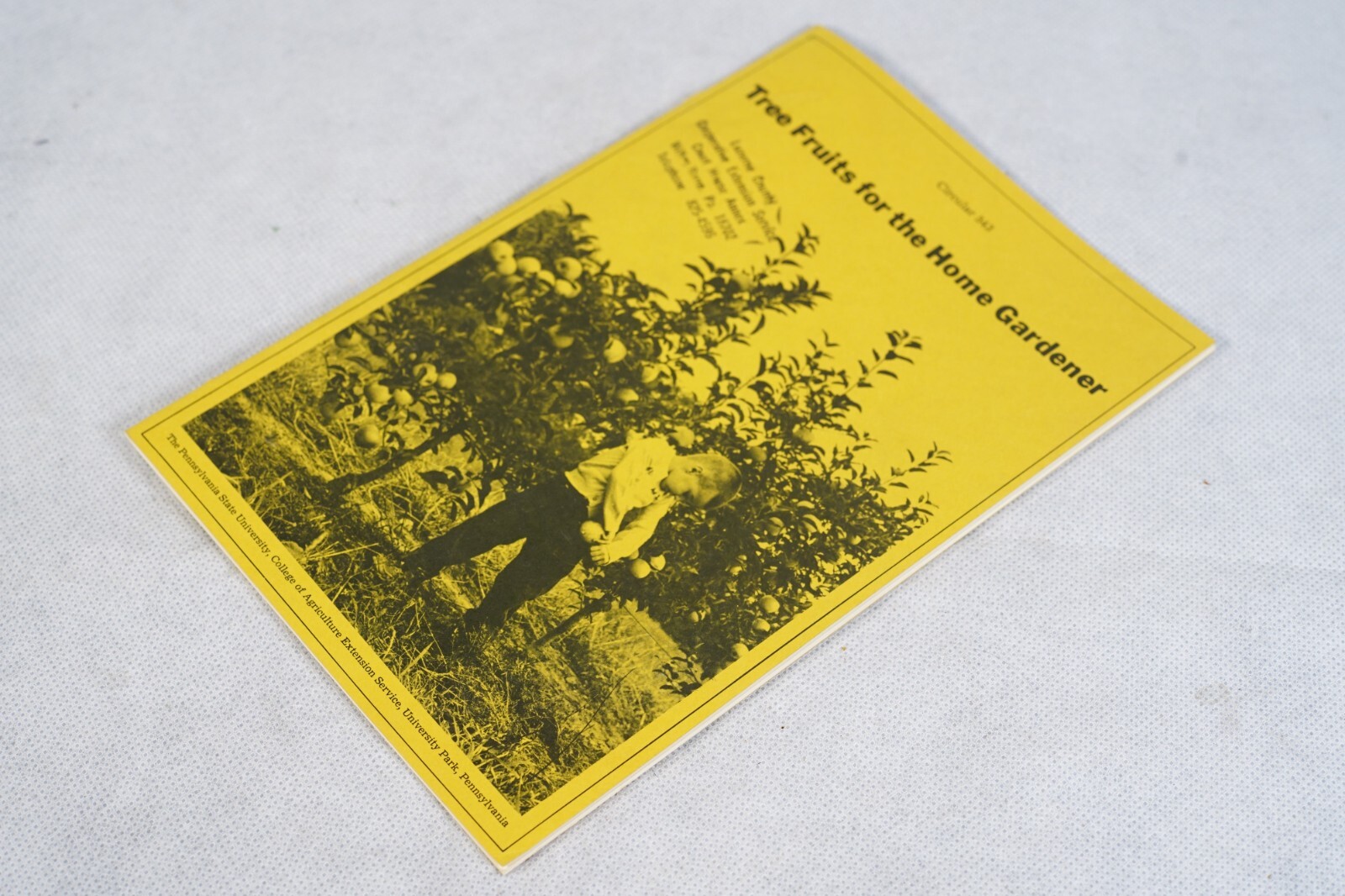 PA State University Tree Fruits for Home Gardener Circular 543 Vintage Brochure