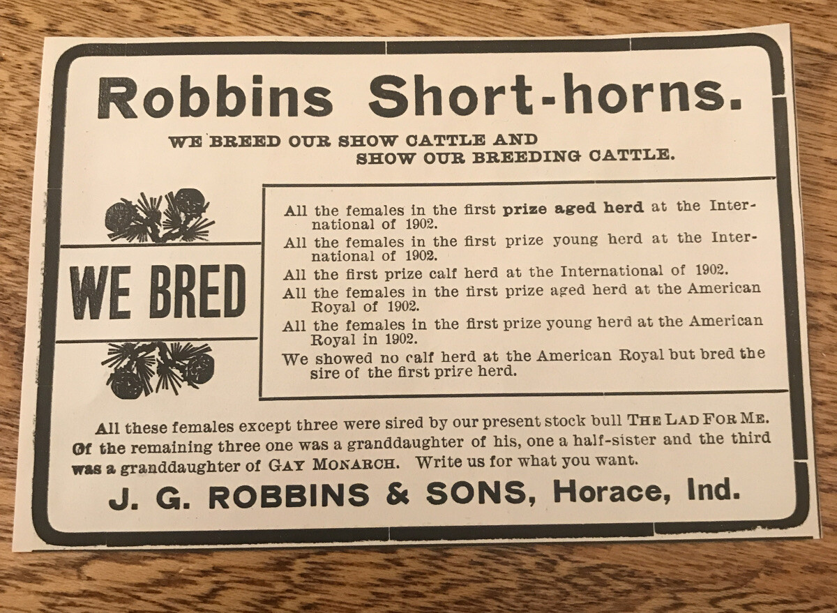 1903 Robbins Shorthorns Cattle Cow Advertising – Horace – Indiana Greensburg