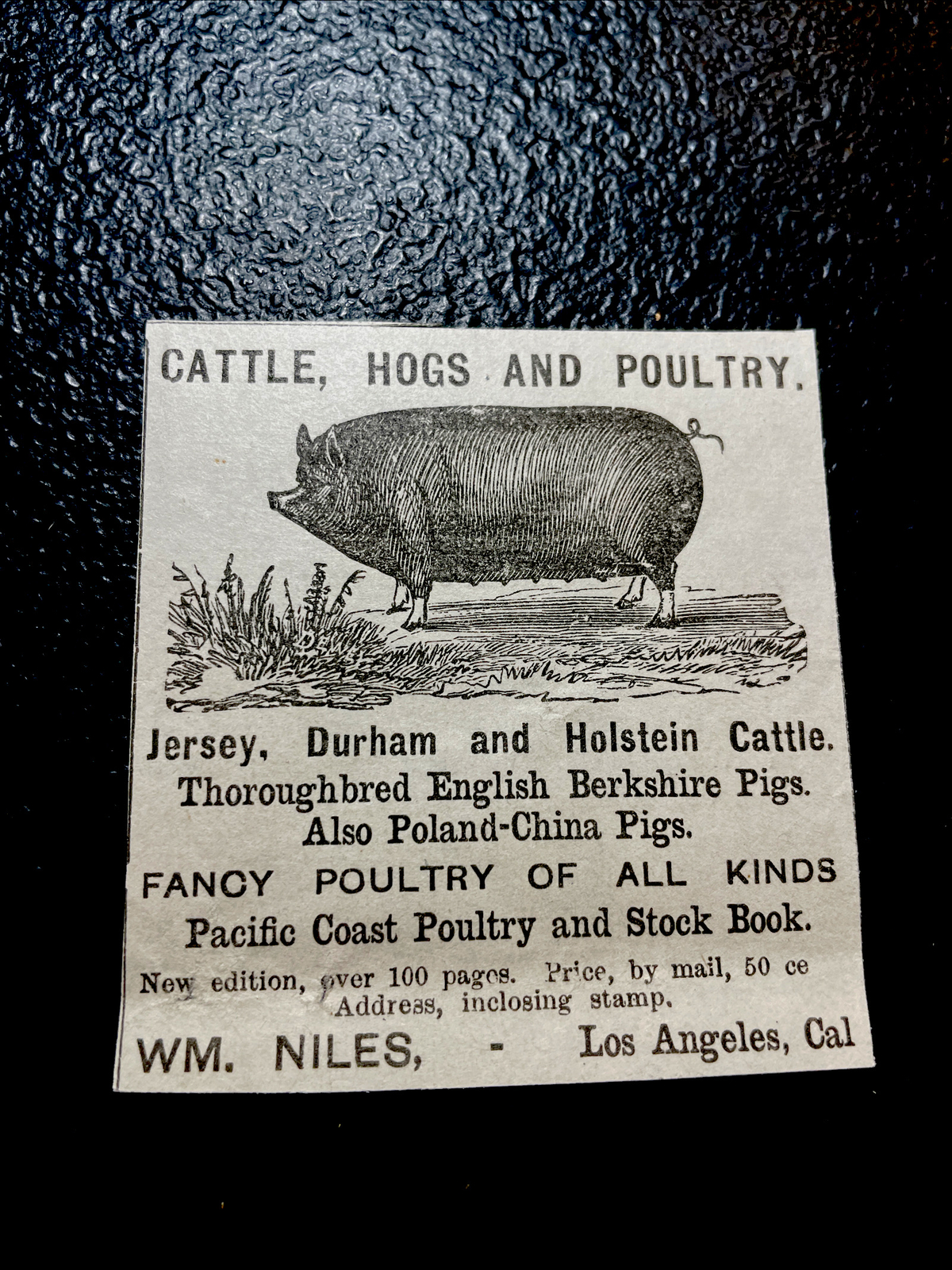 ORIGINAL 1883 Hog Pig Farm Advertising – Los Angeles – California