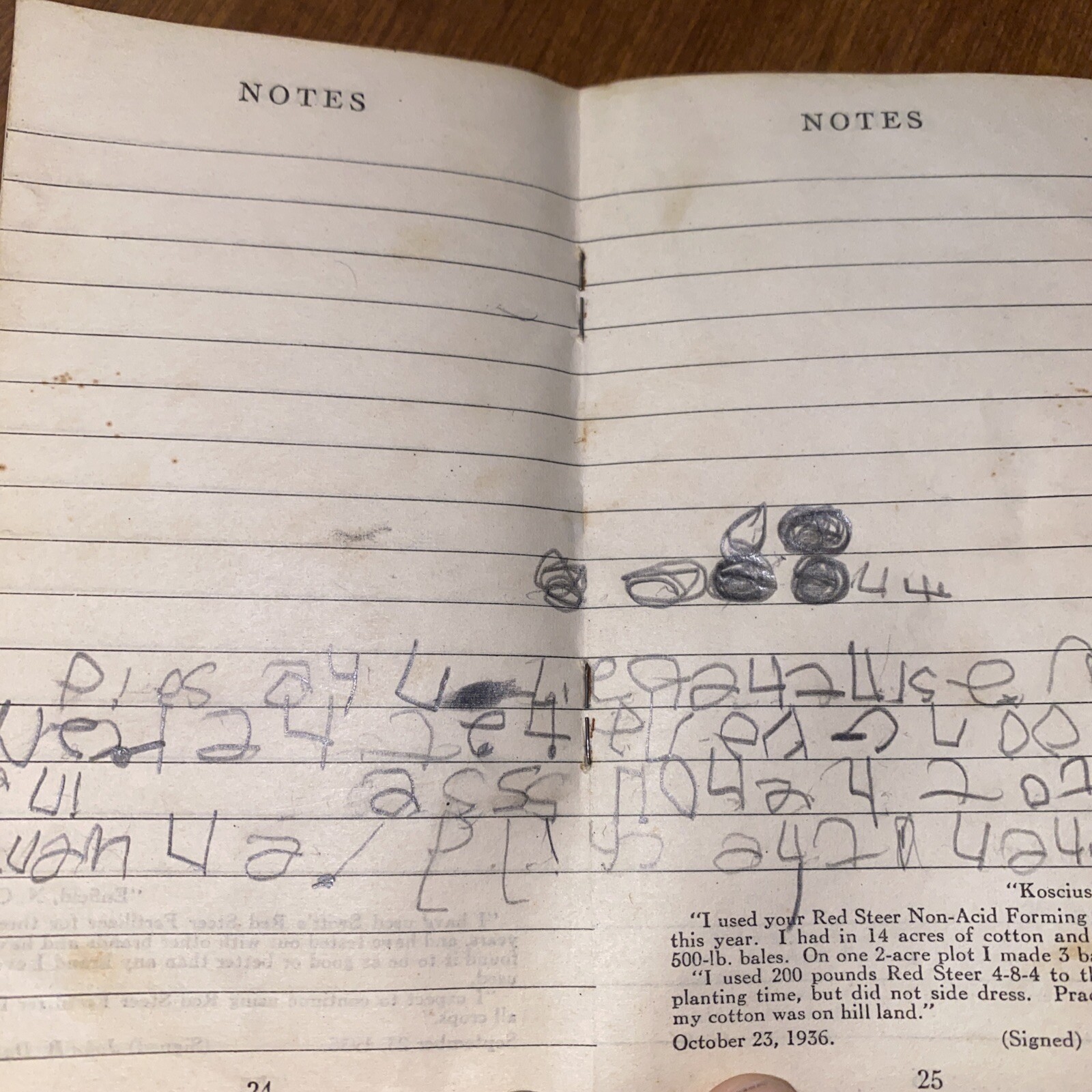 Vintage 1945 Swift&rsquo;s Red Steer Brand Fertilizers Advertising Memo Book Notepad