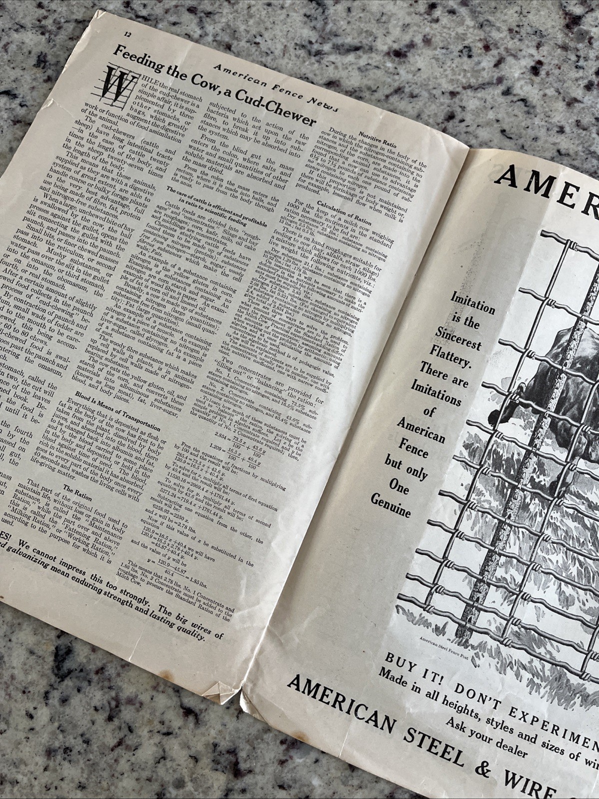 Antique 1915 American Farm Fence Cattle Trade Magazine Comet Shorthorn Bull