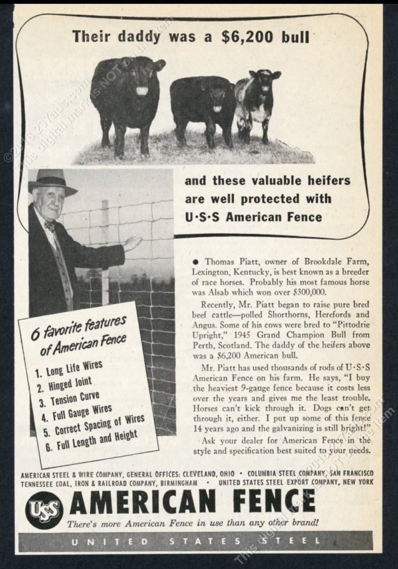 1950 Alsab horse breeder Thomas Piatt photo US Steel American Fence print ad