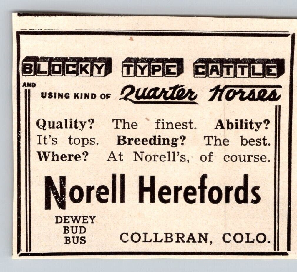 1948 Print Ad Norell Herefords Dewey Bud Bus Collbran CO Blocky Type Cattle