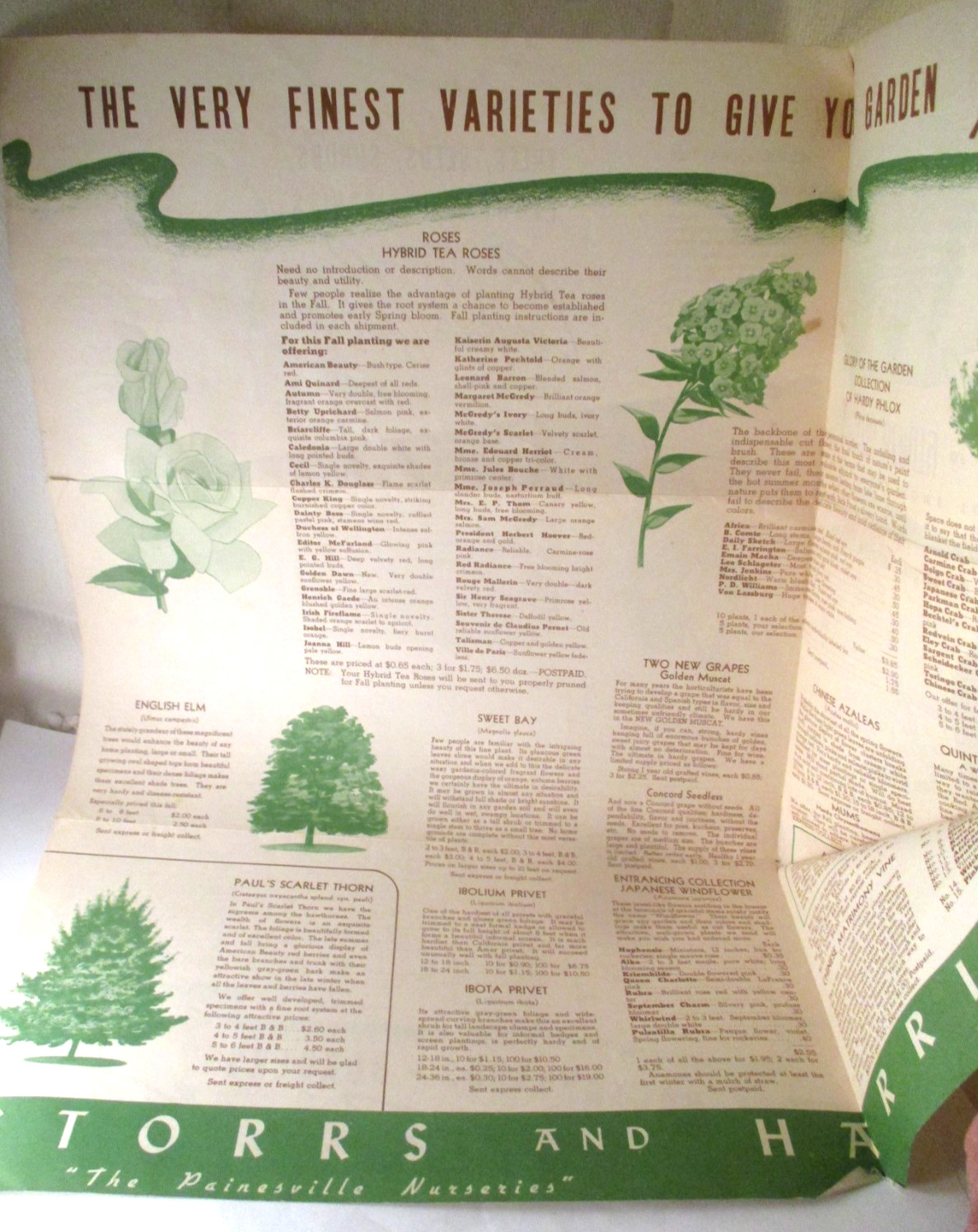Vintage STORRS and HARRISON PAINESVILLE OH NURSERY MAILER BROCHURE