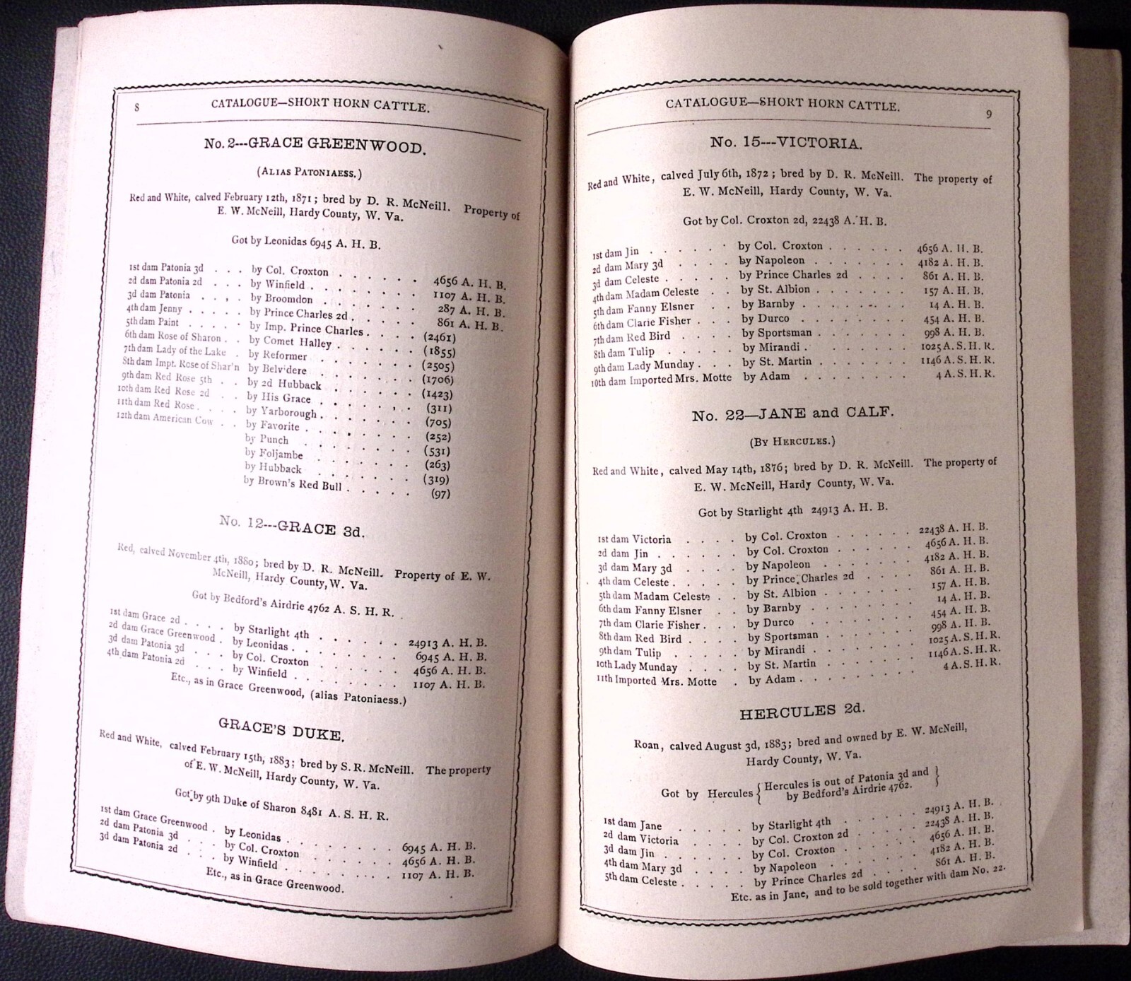1883 Pure Bred High Grade Short Horn Cattle E W Mc Neill AUCTION CATALOGUE