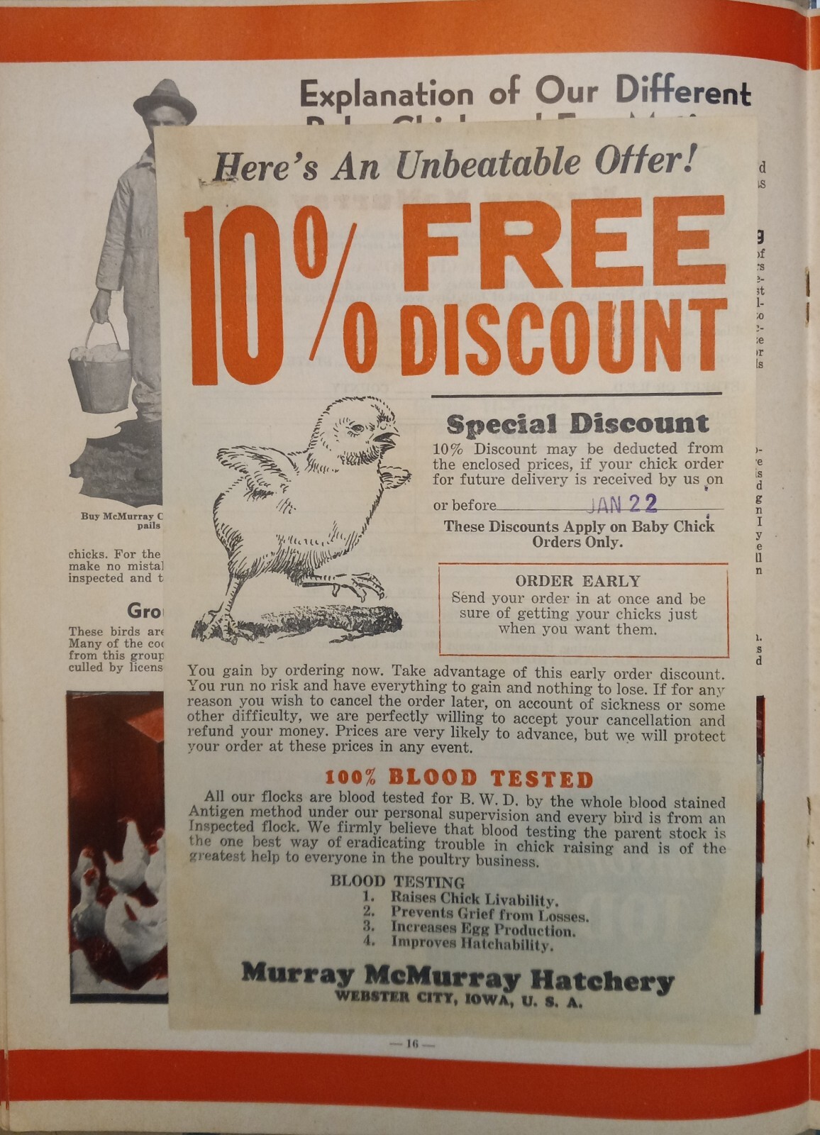 Vtg 1944 Murray McMurray Hatchery Webster City Ia Catalog Order Form Price List