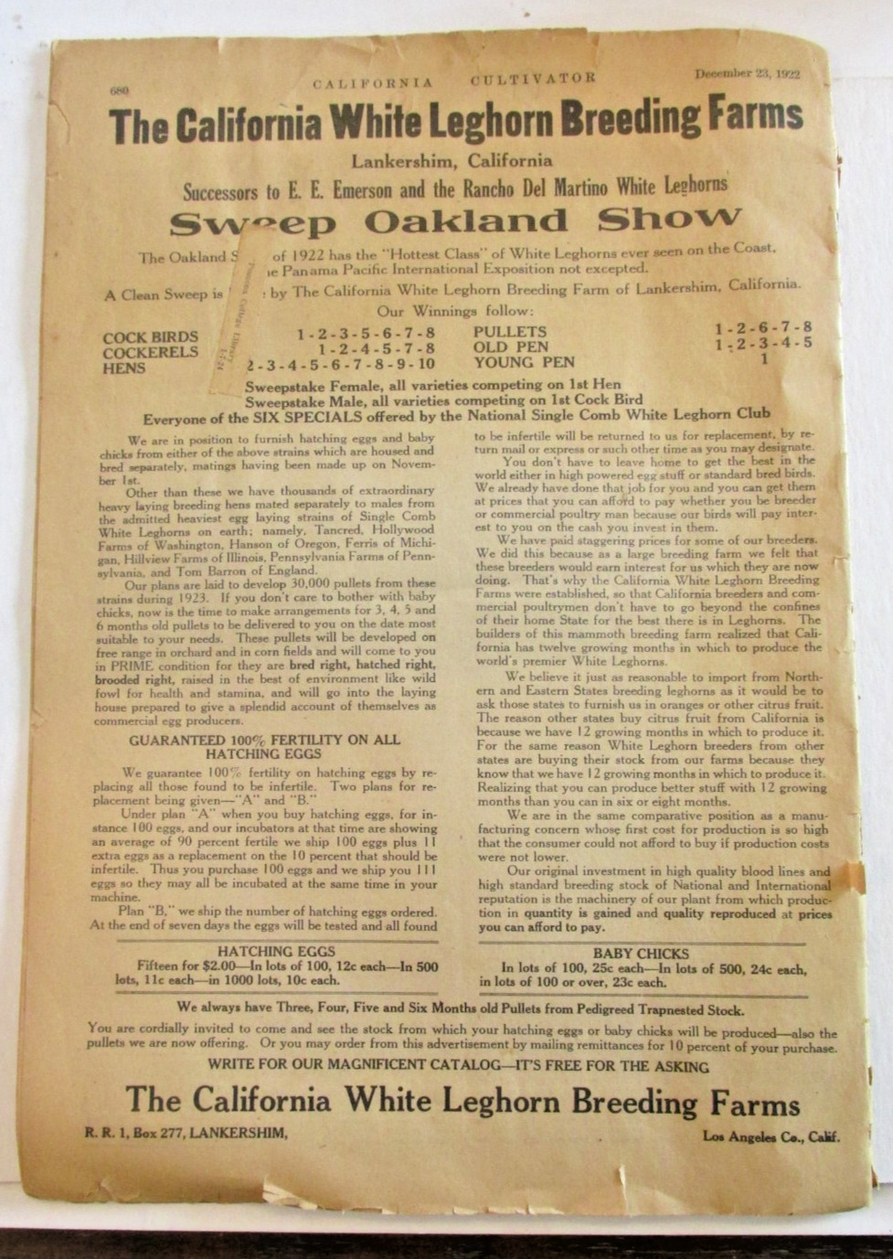 VTG 1922 California Cultivator Livestock Dairy Journal Weekly Rural Home Ranch
