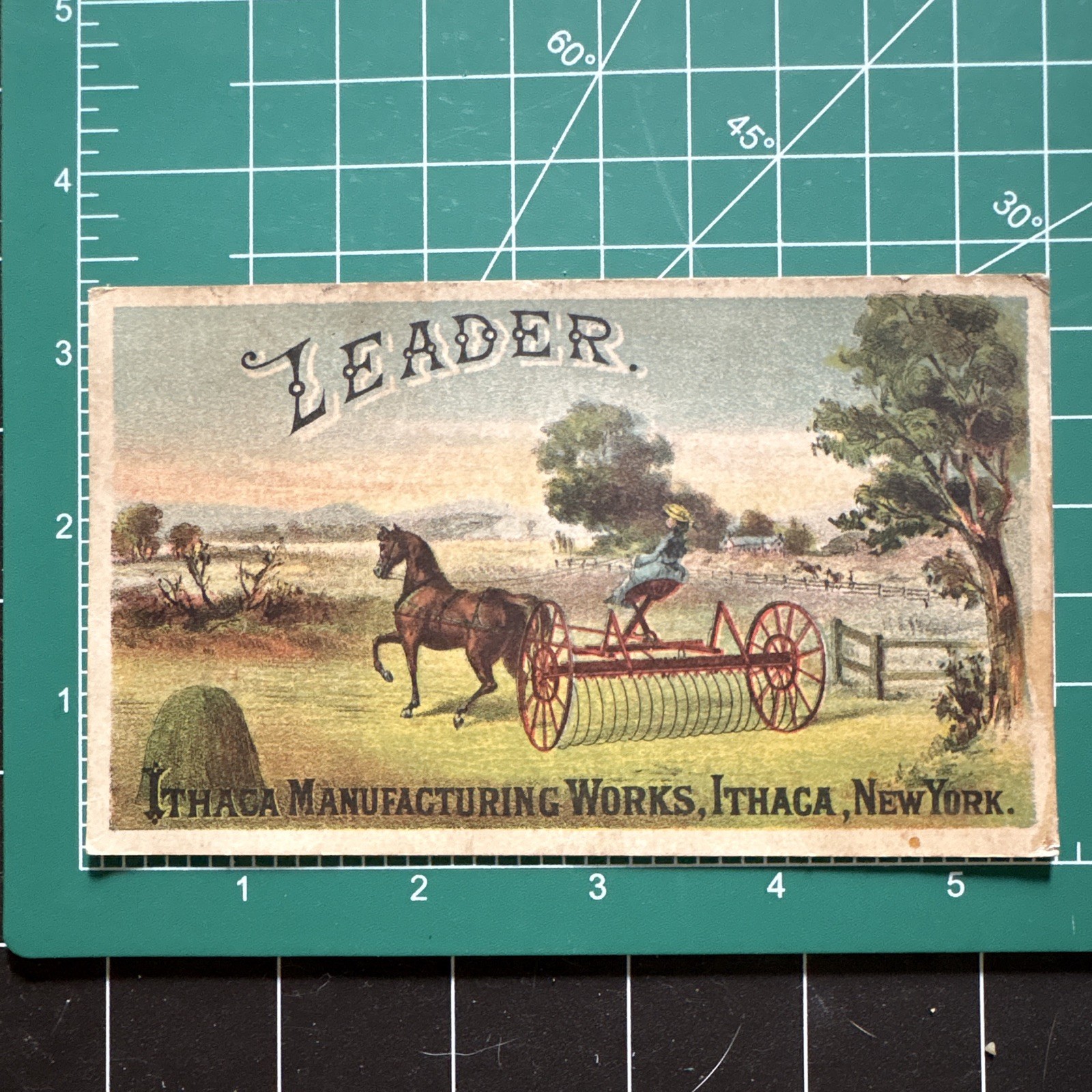 Ithaca Manufacturing Works « Leader » Hay Rake Agriculture Trade Card, Multicolor