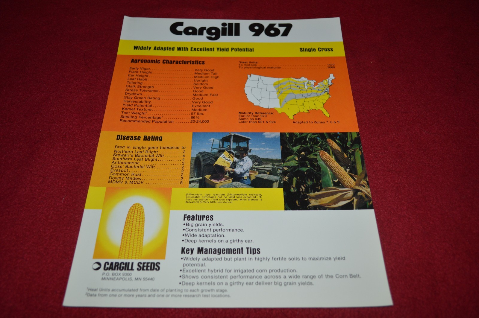 Cargill 967 Corn Hybrid Single Cross Dealers Brochure DCPA5