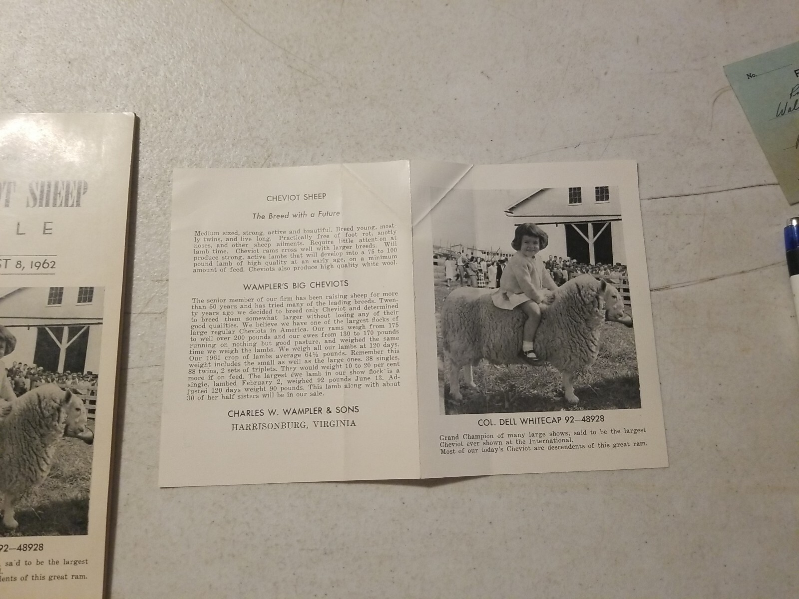 Vintage 1962 Wampler&rsquo;s Cheviot Sheep Sale Catalog & Flyer. Harrisonburg, VA