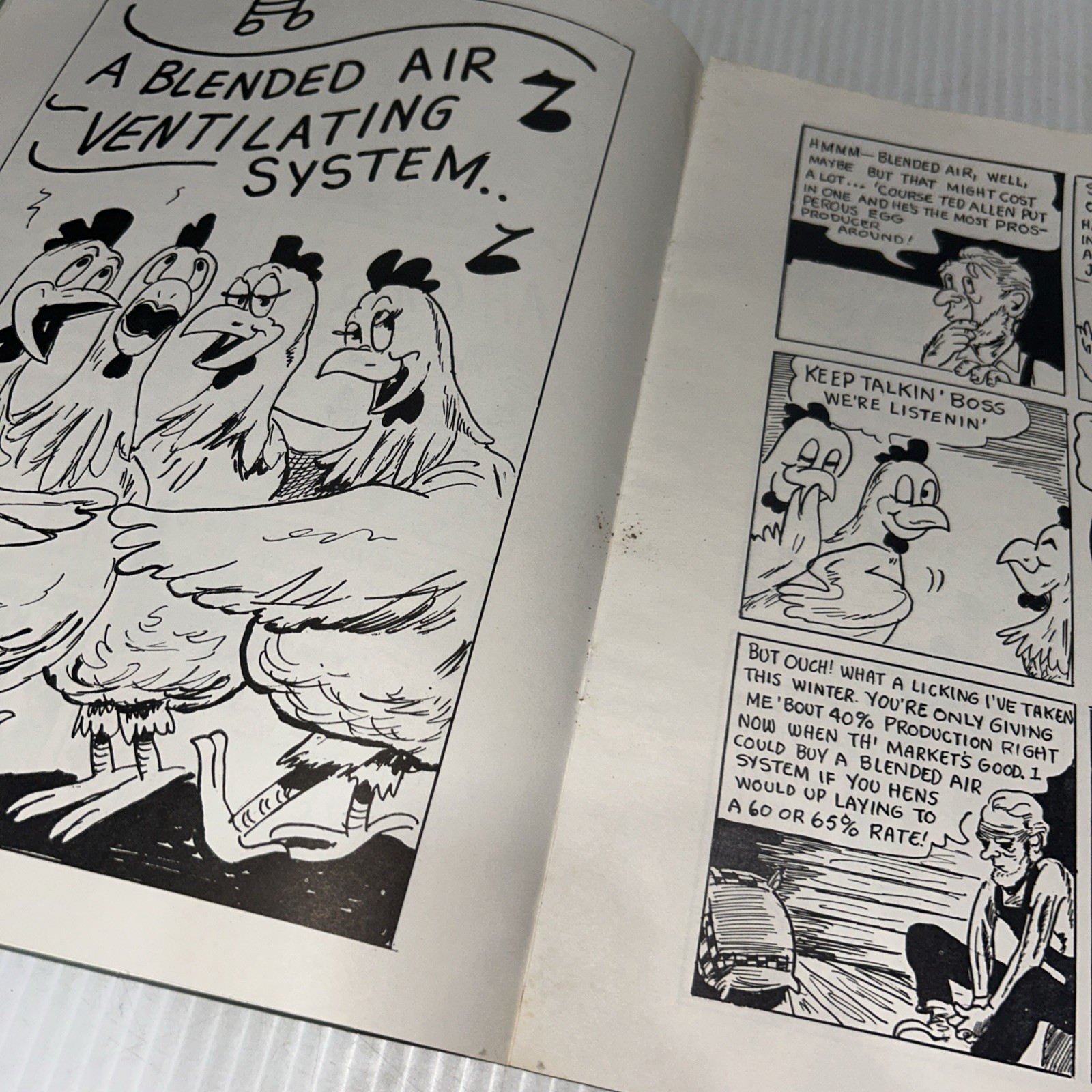 1950s Farmer Brown’s Lucky Day Comic Poultry Ventilation LA Pockman Promo/250h