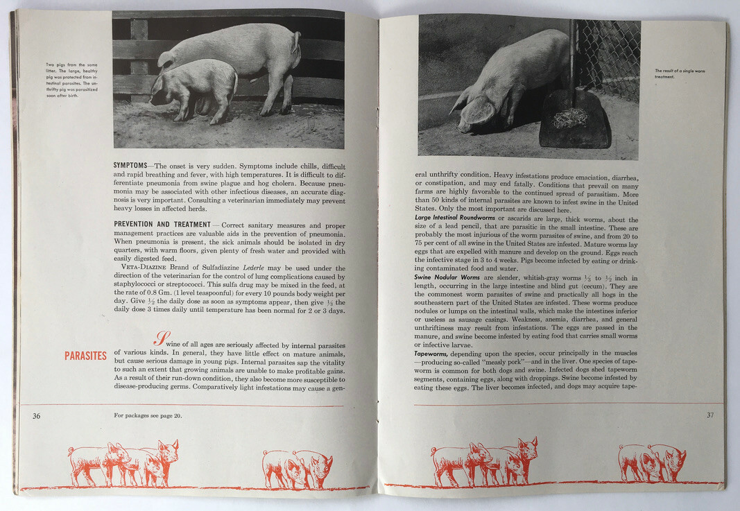 1947 Common Diseases of Livestock Lederle Laboratories Booklet Horses B&W Photos