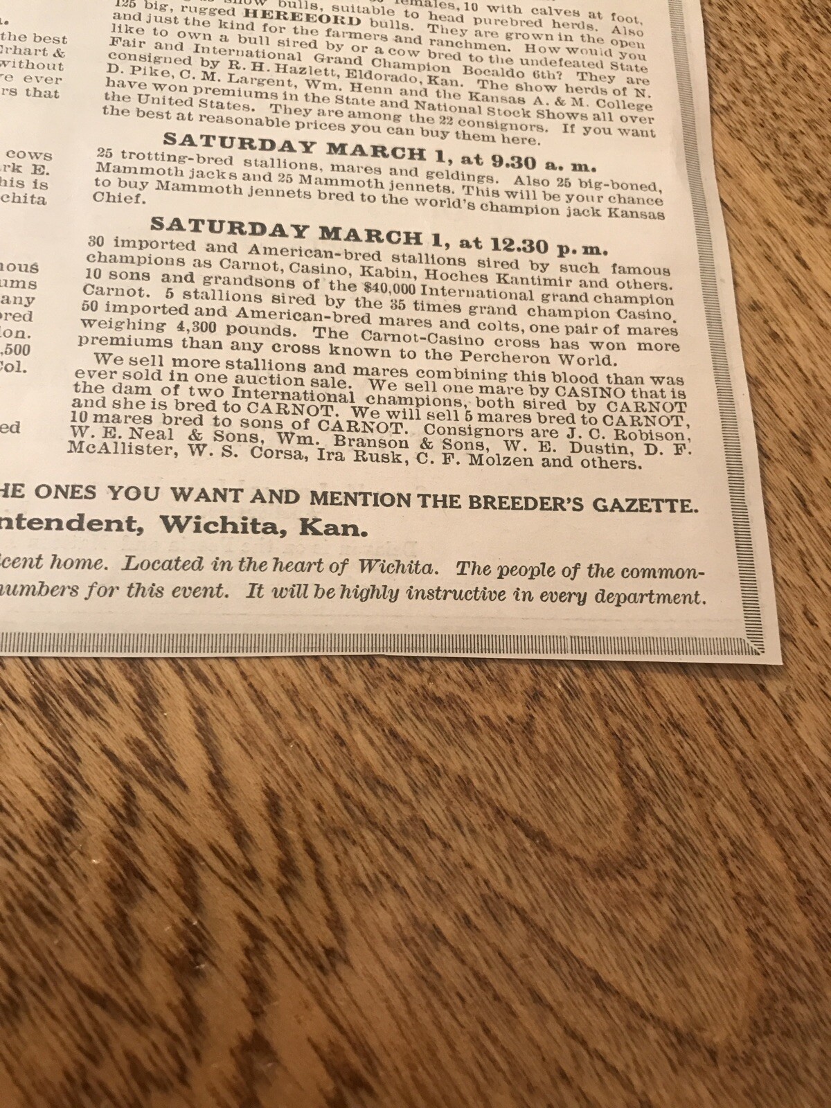 1919 Cattle Livestock Public Sale – Wichita – Kansas – Cow Advertising