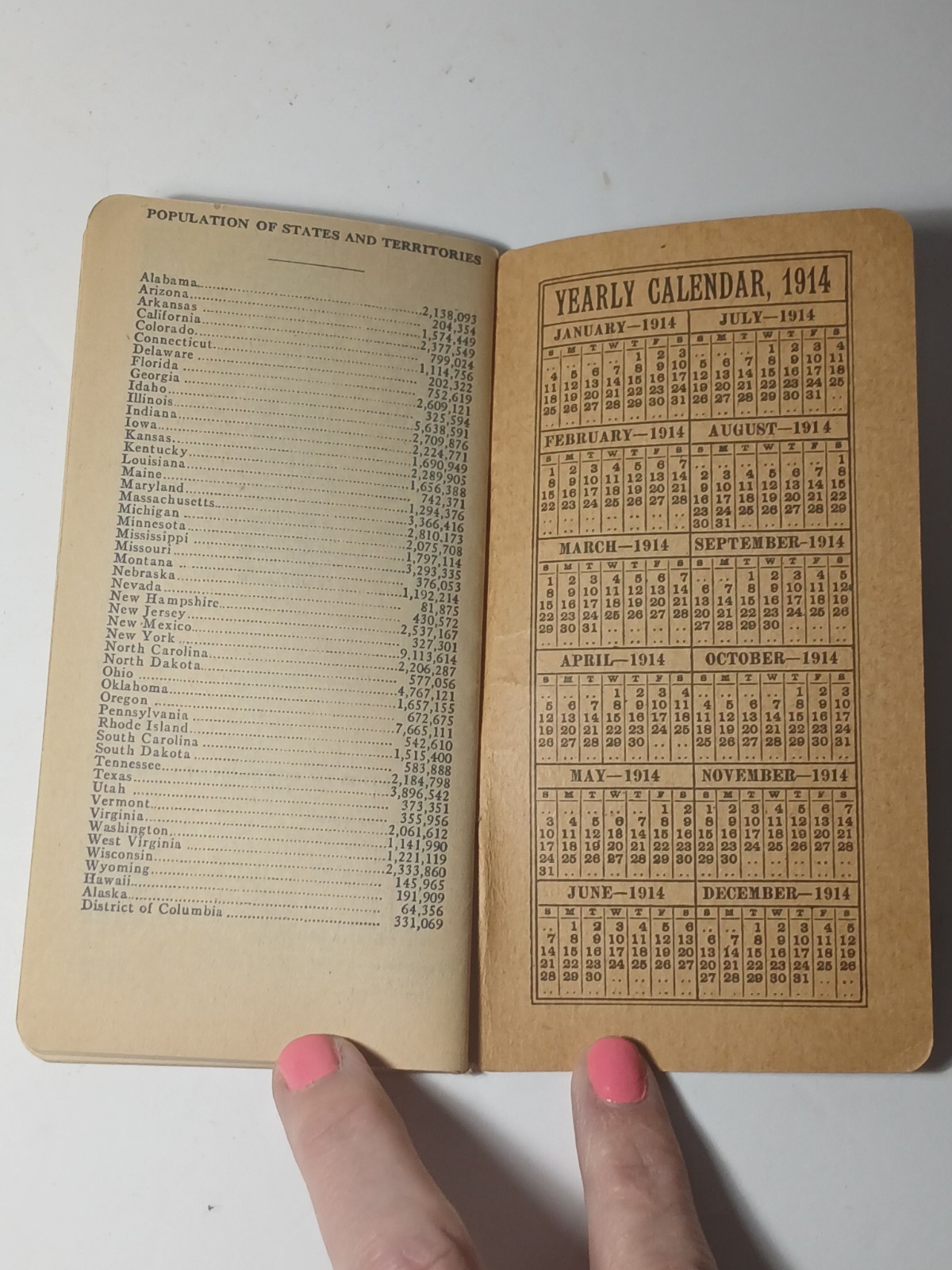 1913 Vintage Antique Fargo North Dakota Seed House Farm Ledger Book Magill & Co.