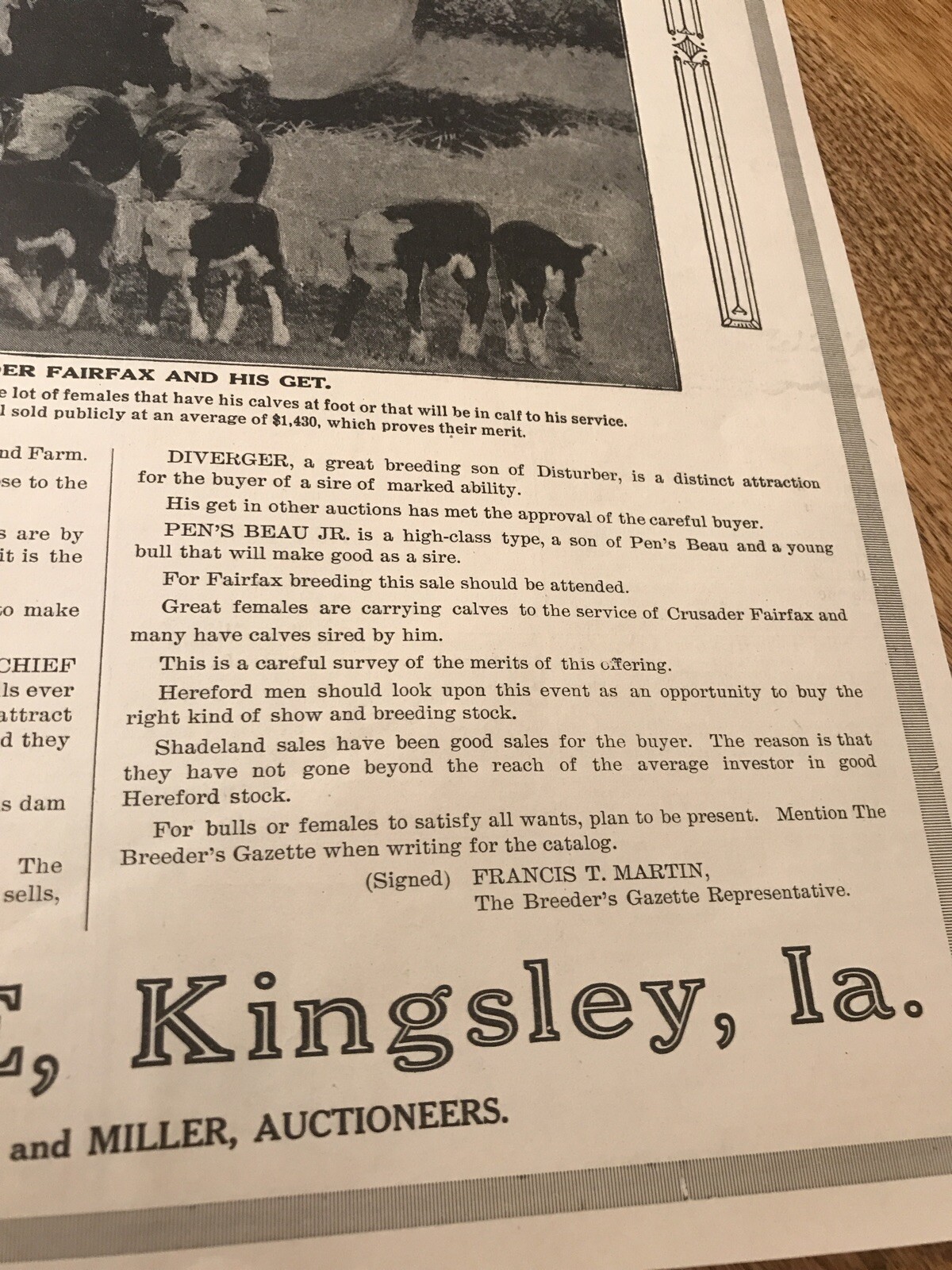 1917 Cattle Livestock Public Sale Poster – Sioux City – Iowa – Cow Advertising