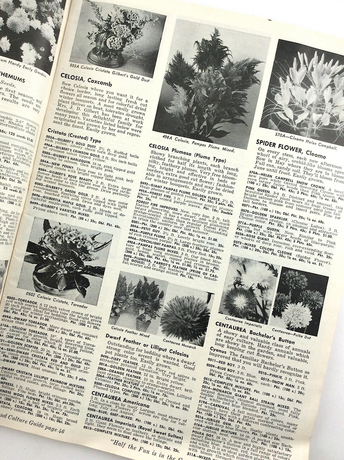 Parks Flower Book 1962 Greenwood South Carolina Garden Seed Catalog Q297