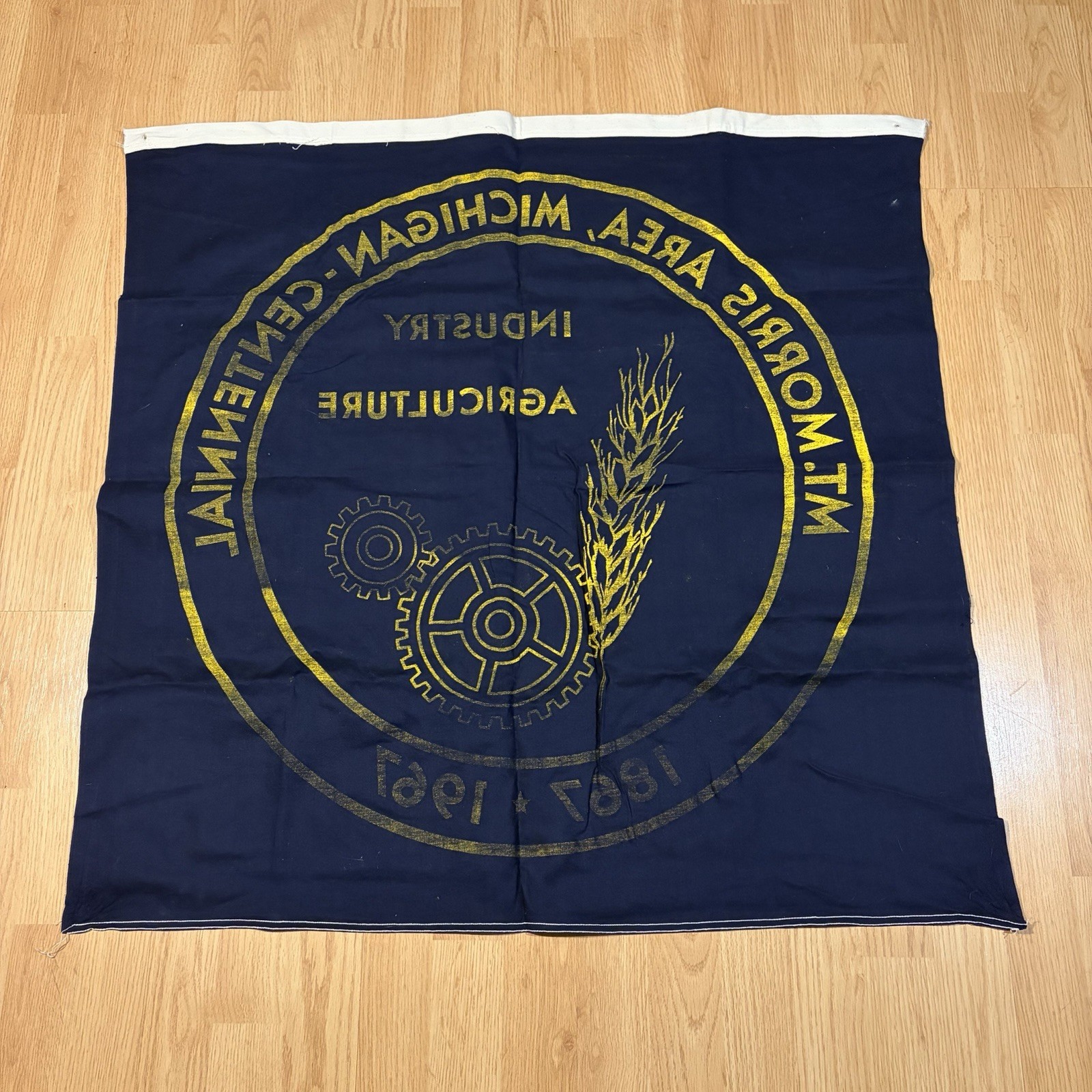 Vintage 1960s MT Morris Michigan Centennial Industry Agriculture Flag Banner 3ft