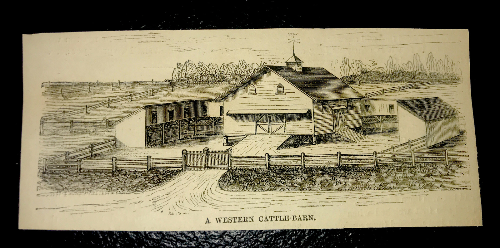 ORIGINAL 1872 Western Cattle Barn Farm Engraving Advertising