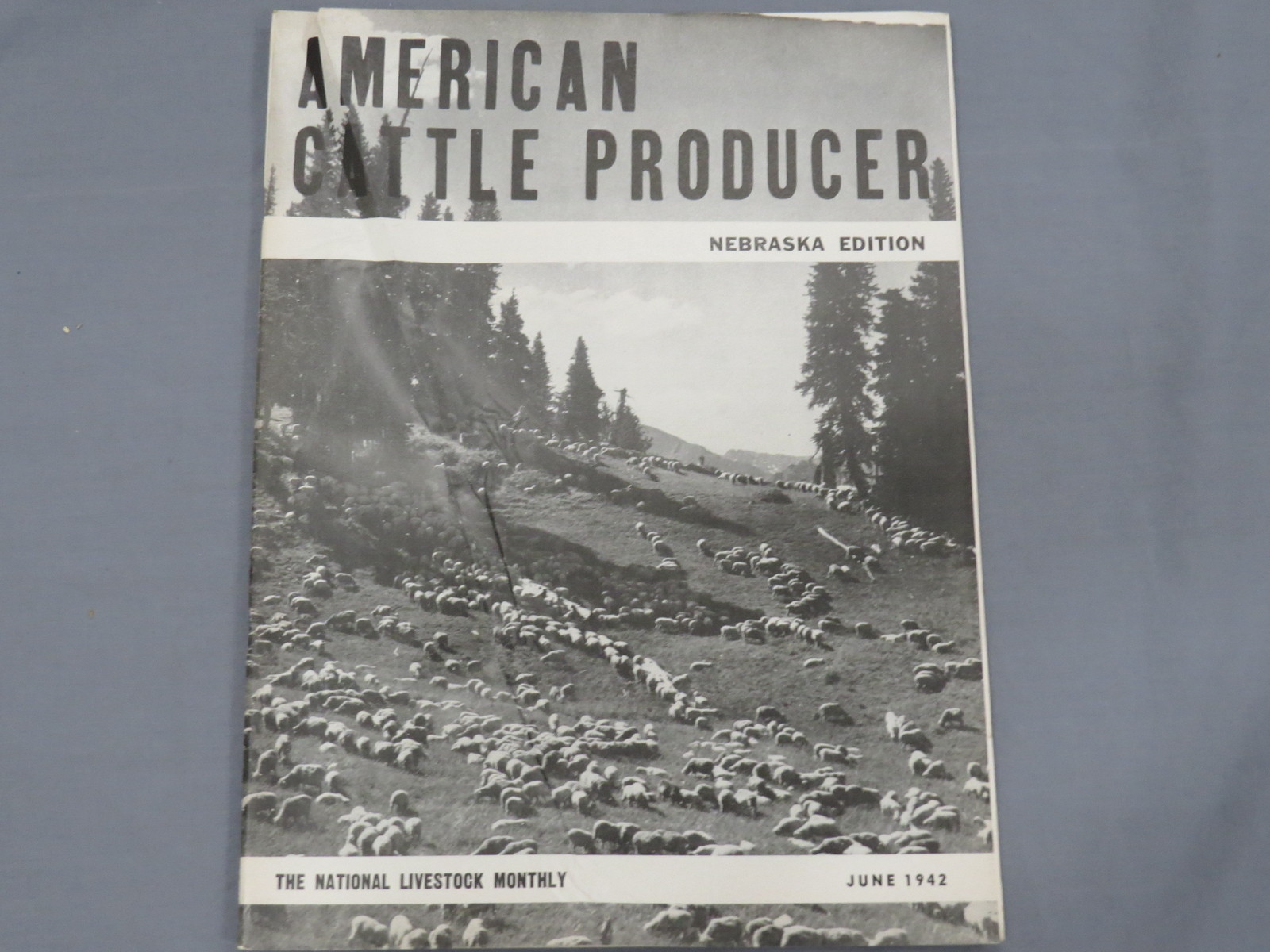 Vintage AMERICAN CATTLE PRODUCER Nebraska Edition Magazine 1942 June Hereford
