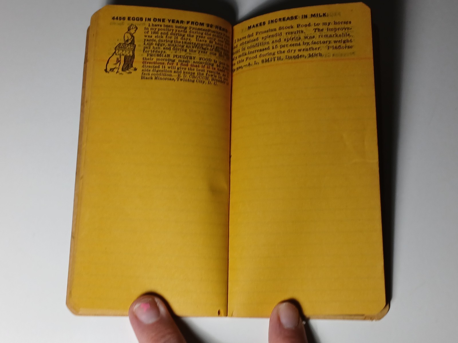 1906 Vintage Farm Ledger Prussian Food Advertising Cow Pig Sheep Horse Graphic
