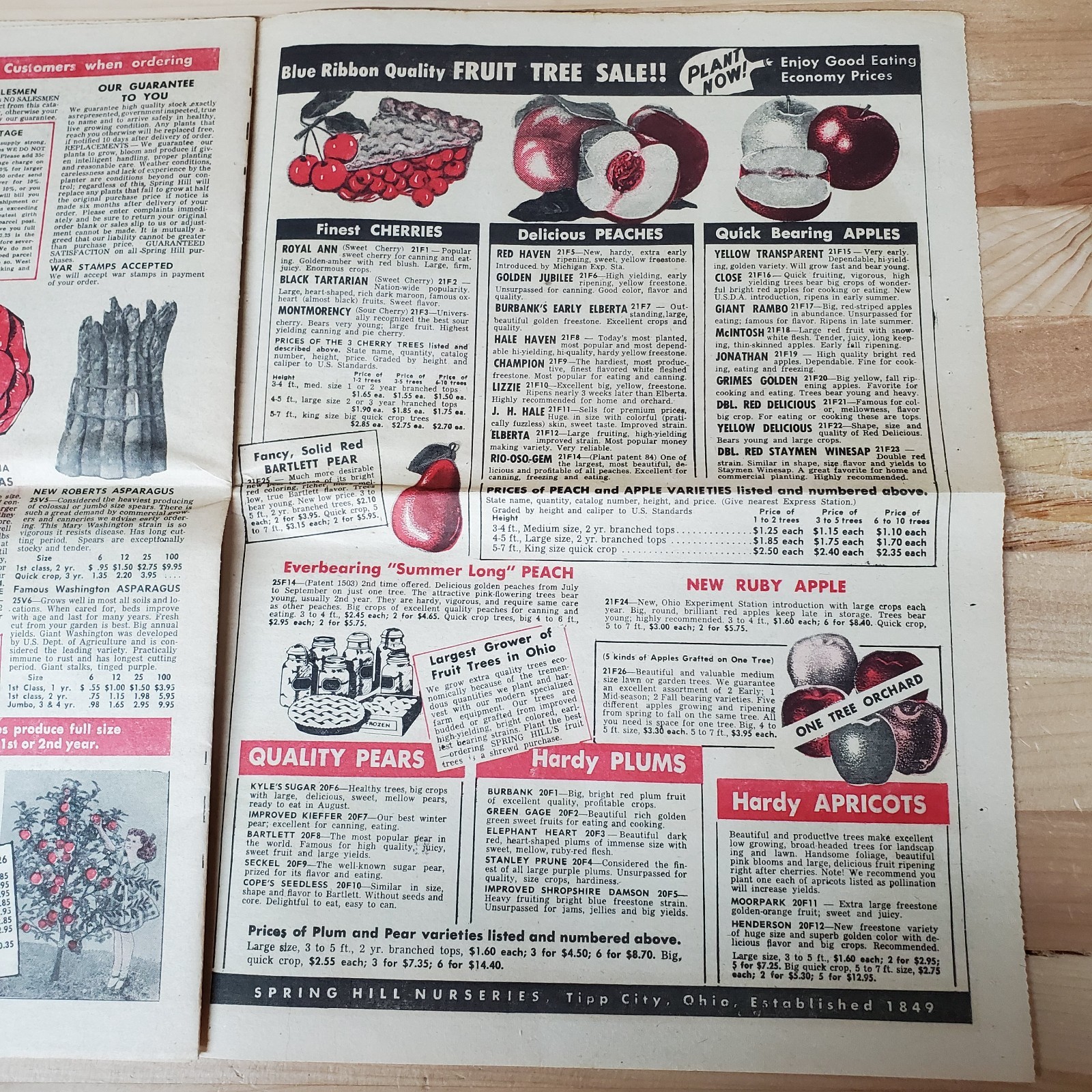 VTG spring 1958 Spring Hill Nurseries catalog; Tipp City, OH 109th Anniversary
