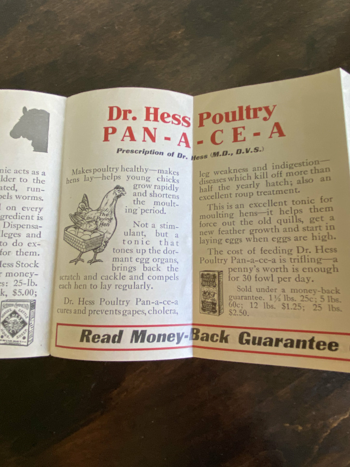 Vintage Brochure Gilbert Hess & Clark Poultry Horse Cow Tonic Vet Animal