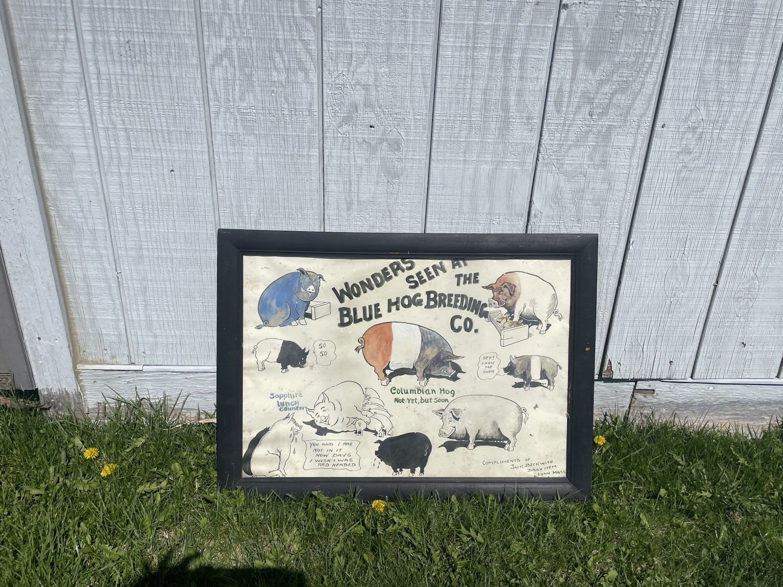 Blue Hog Vintage Advertising Poster – Antique – Rustic Americana
