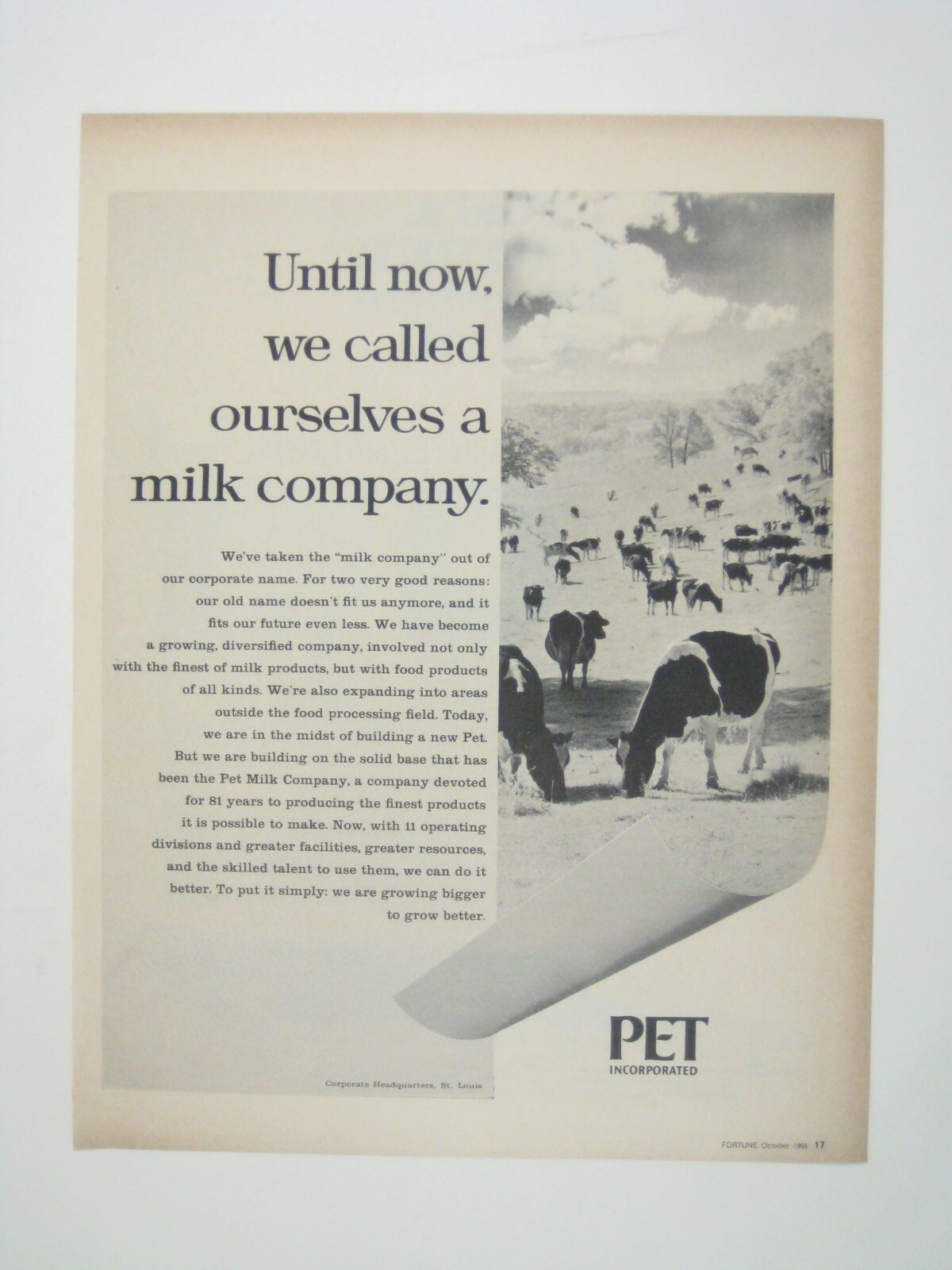 Vintage 1960s Pet Milk Company Advertising Print Cows Field Landscape Farm