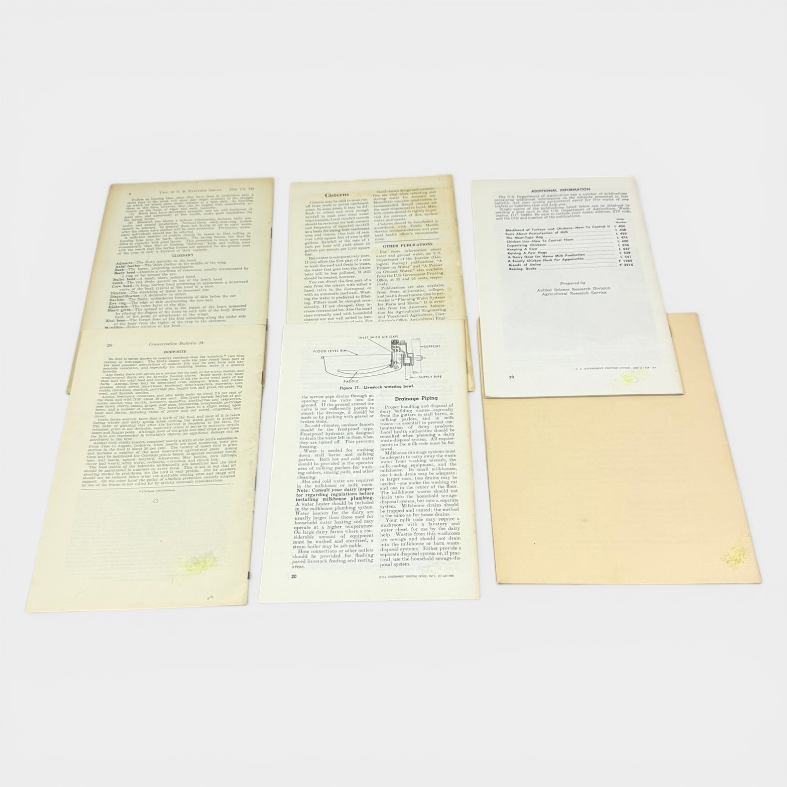 Vintage Farm Pamphlet 31 Agricultural Bulletins Homesteading Livestock 30s-70s