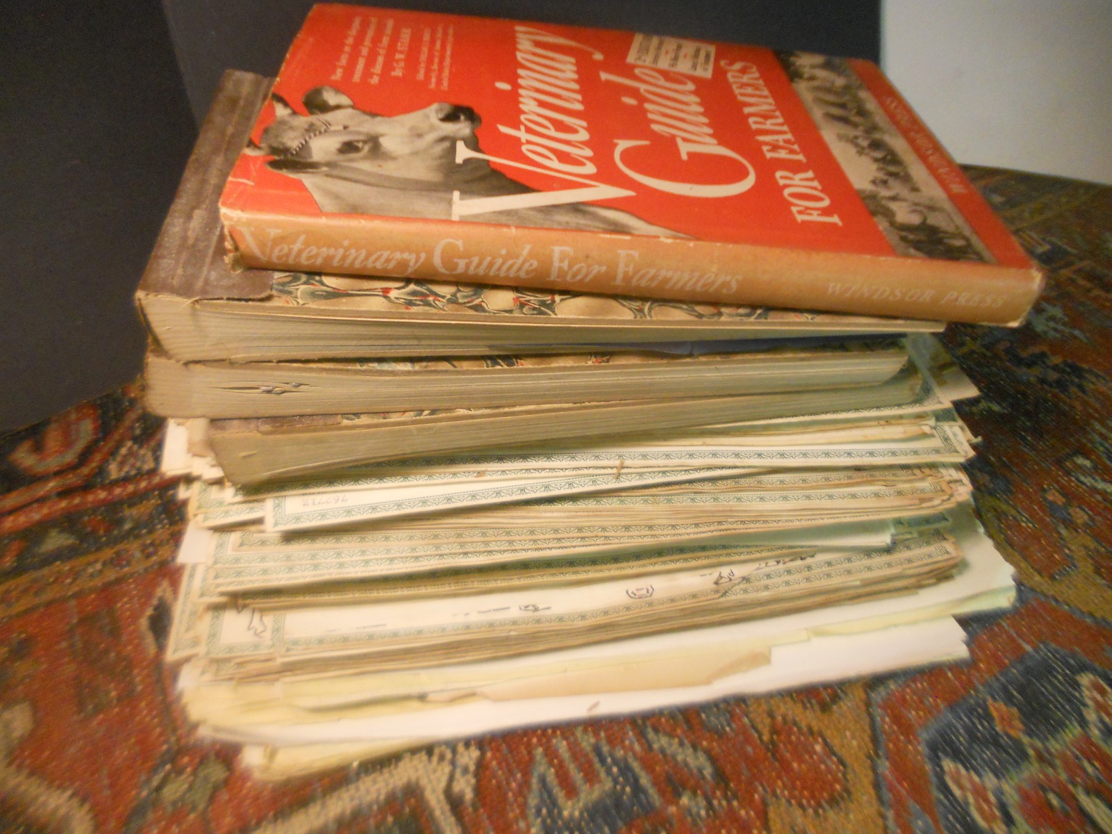 450+ CATTLE CLUB Vintage American GUERNSEY CERTIFICATES BOOKS Newport News VA