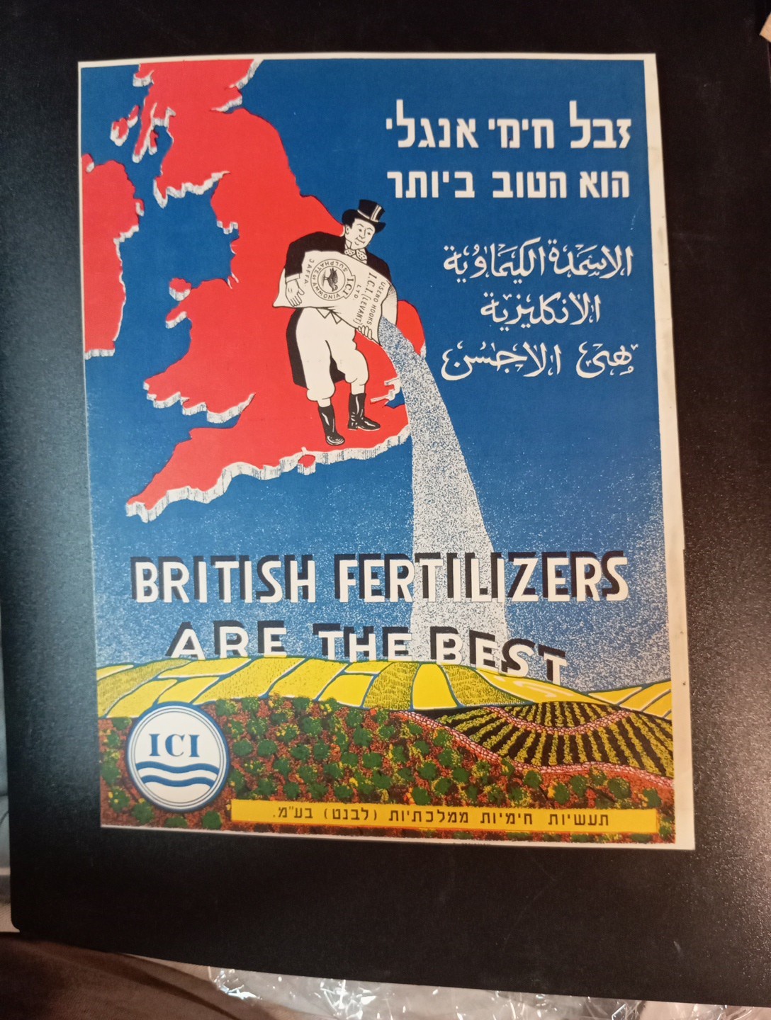 palestine jaffa orange judaica