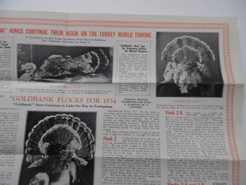1934 Goldbank Giant Bronze Turkey Brochure Bird Bros Meyersdale Poultry Vintage
