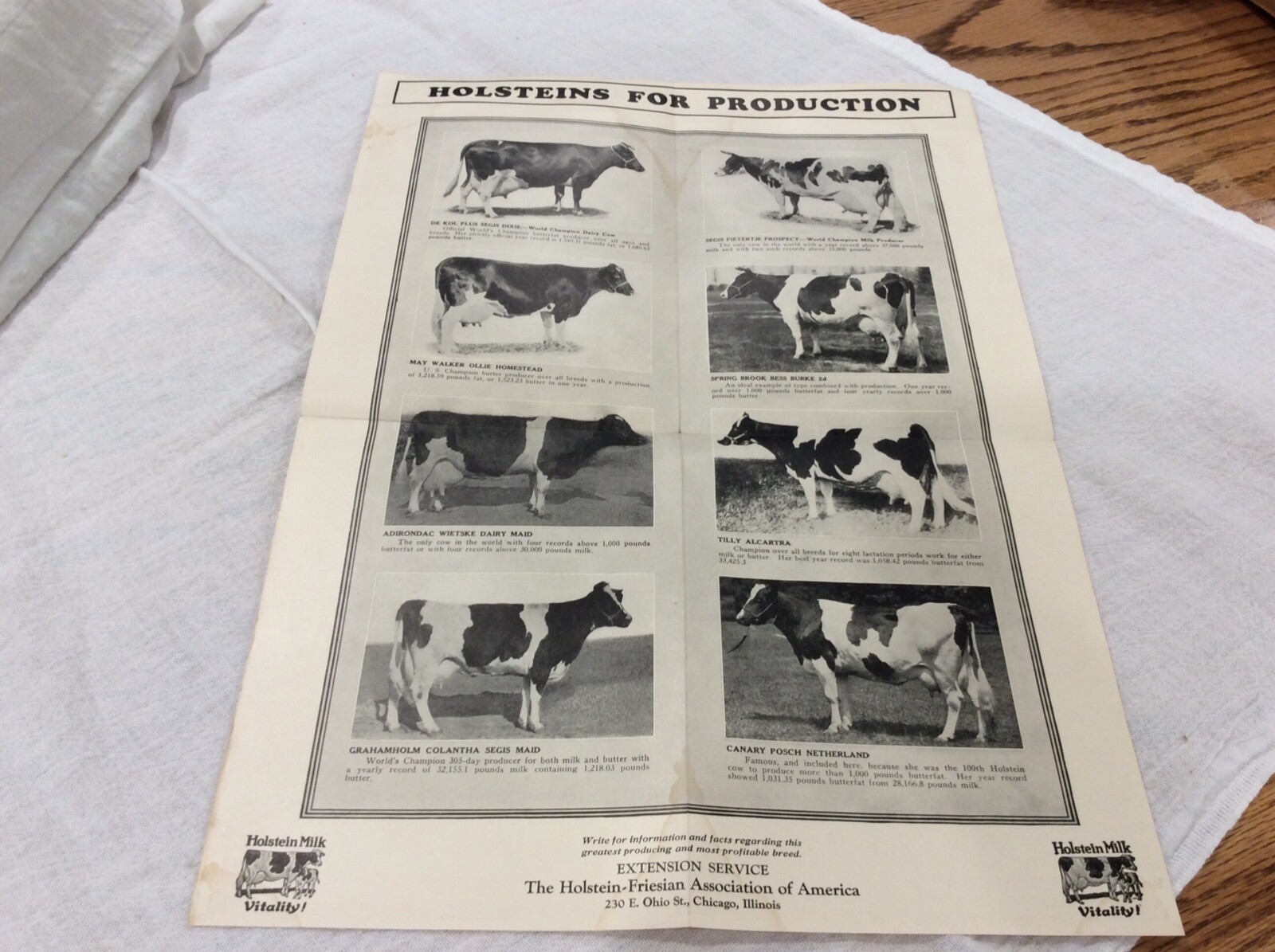 1926 Holsteins For Profit Cows Poster Holstein-Friesian Association Chicago