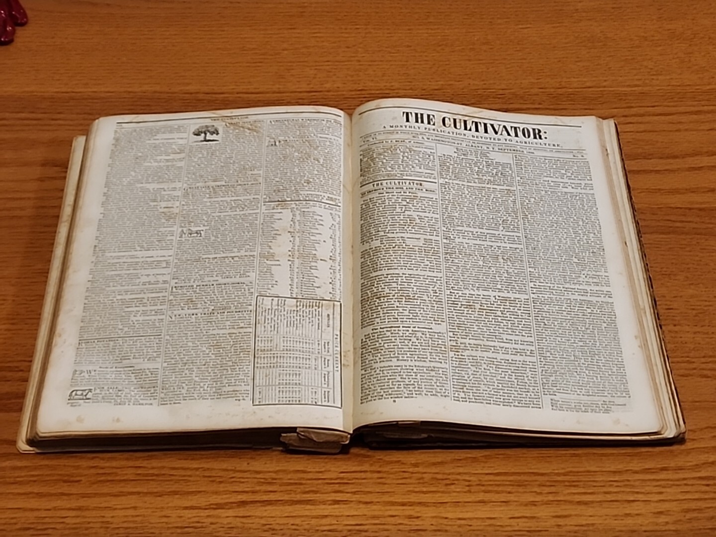 The Cultivator Monthly Journal Hardbound Book 1838