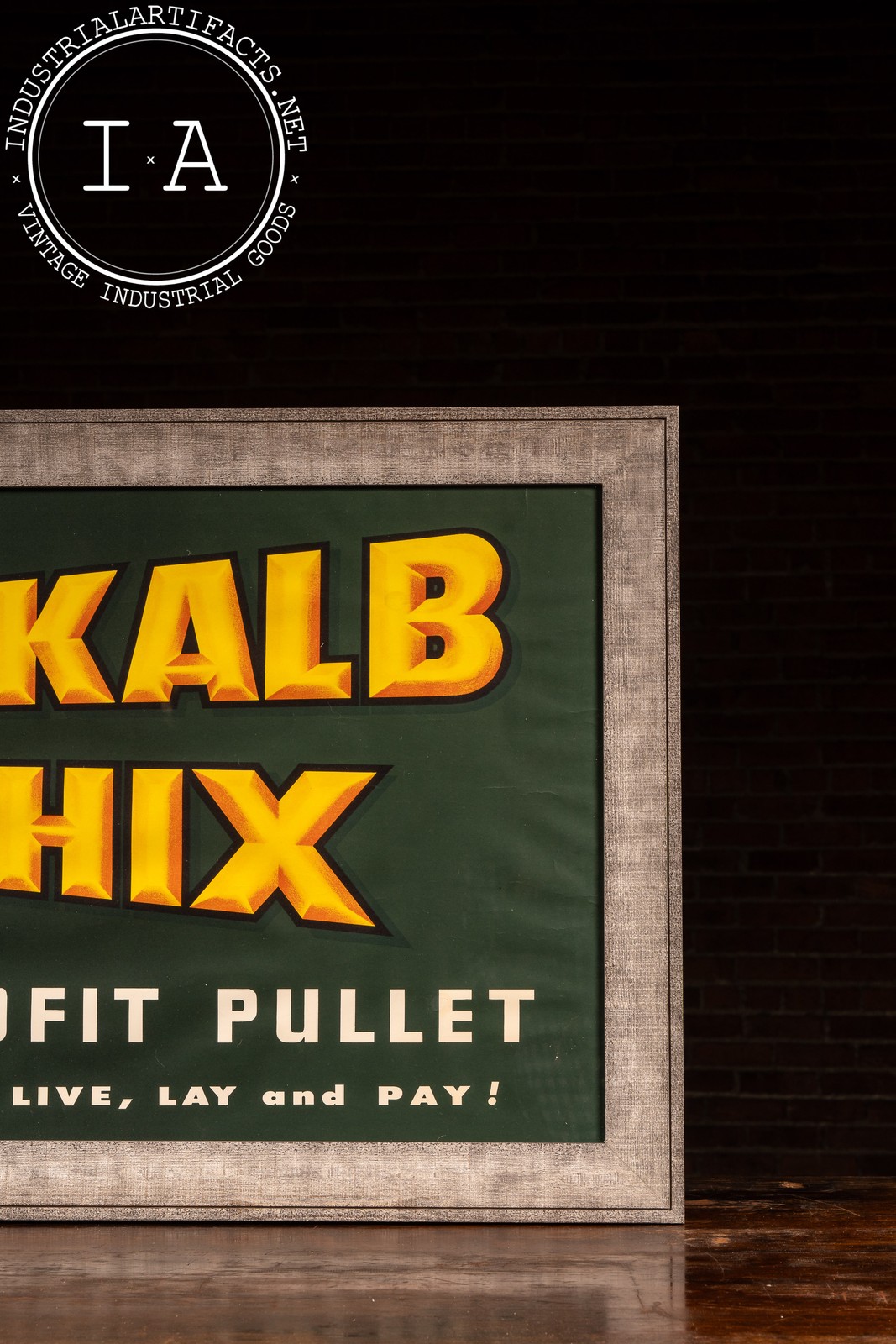 Vintage DeKalb Chix Framed Agriculture Poster