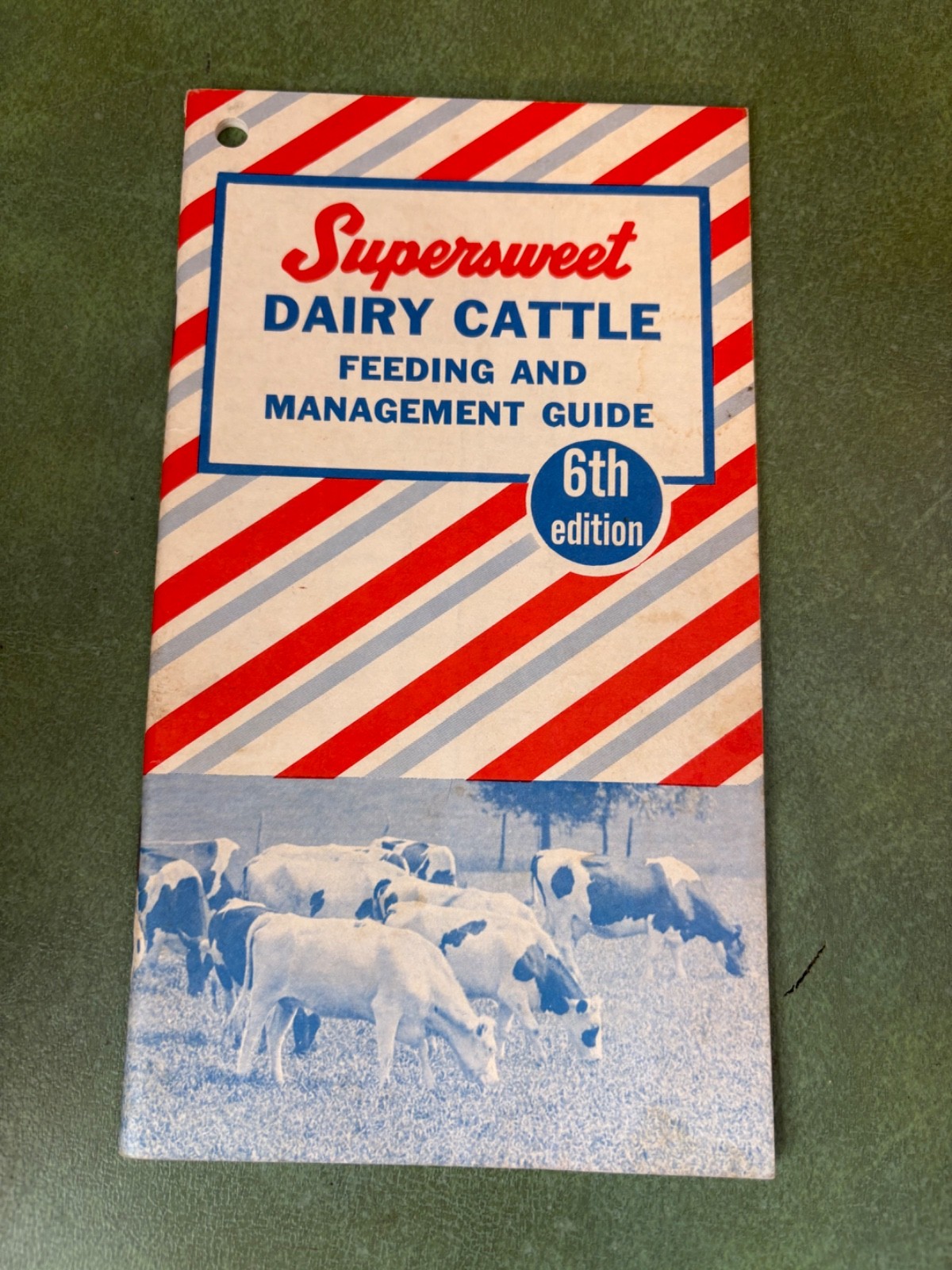Vintage SuperSweet Dairy Cattle Feeding & Management Guide 6th Edition