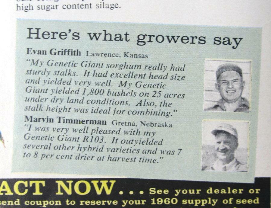 Original 1965 Seed Ad Featuring Evan Griffith, Lawrence Kansas