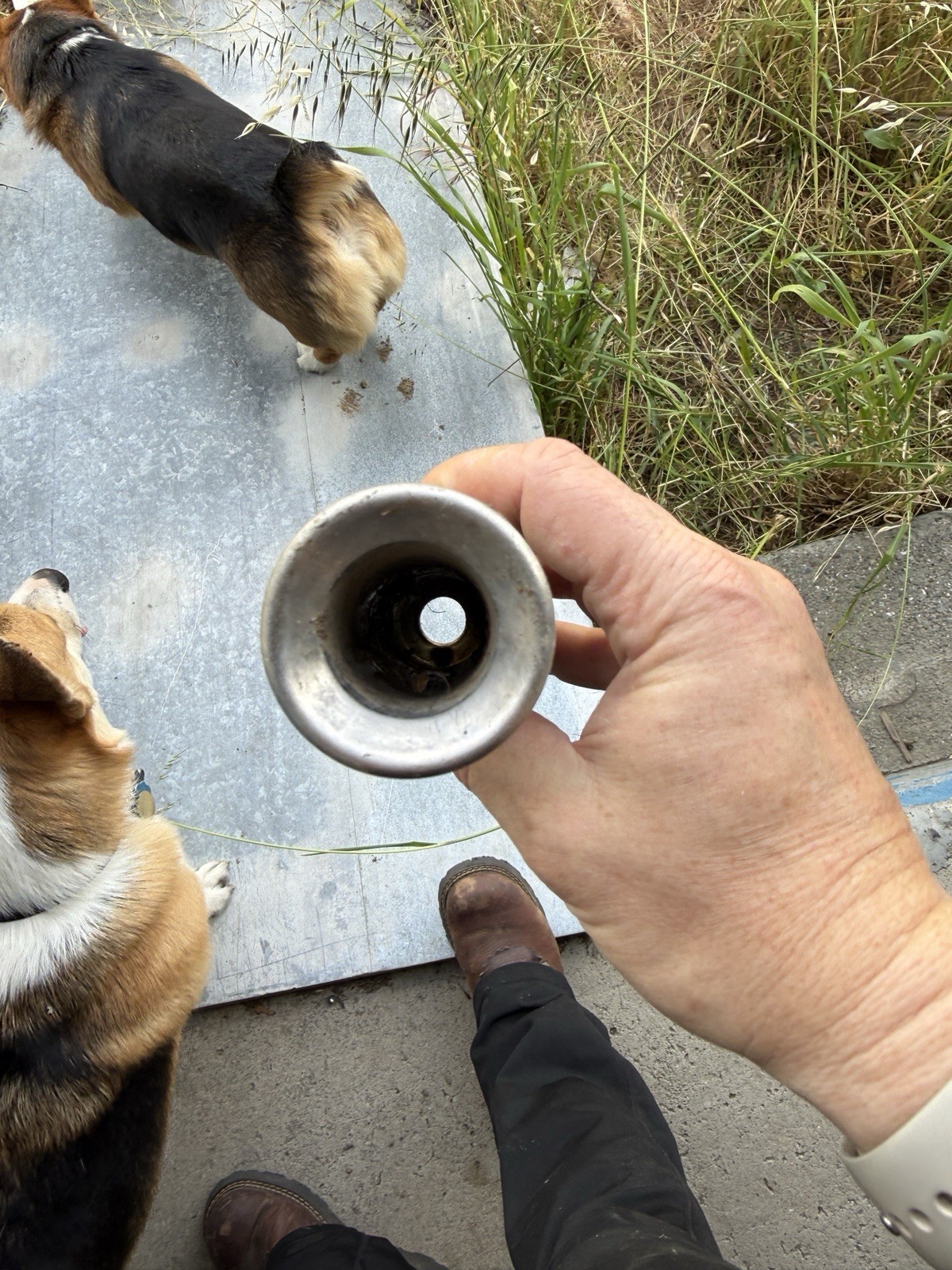 21 Teat cup shells for cow stainless steel
