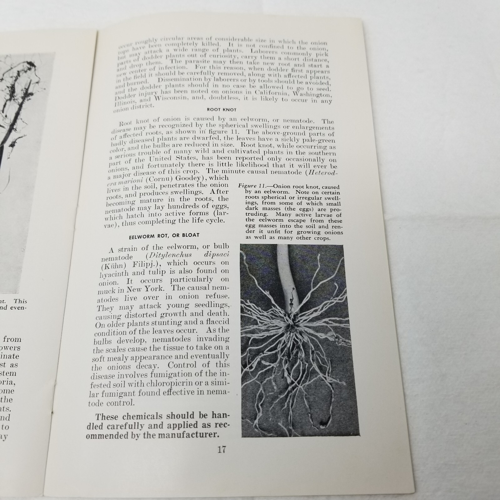 Onion Diseases Control 1947 Farmers&rsquo; Bulletin Booklet 1060 USDA Photos Charts